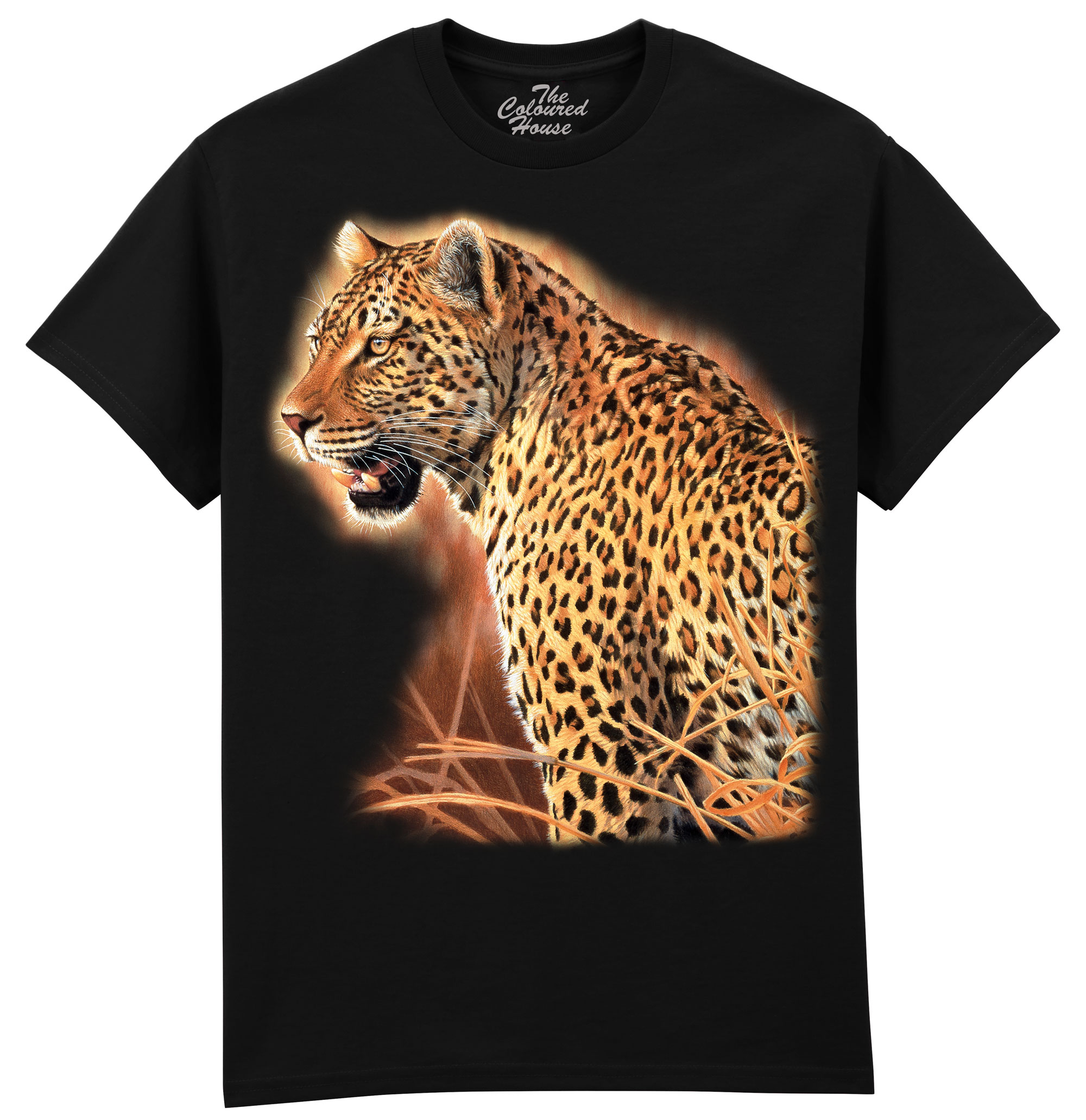 Brave Leopard