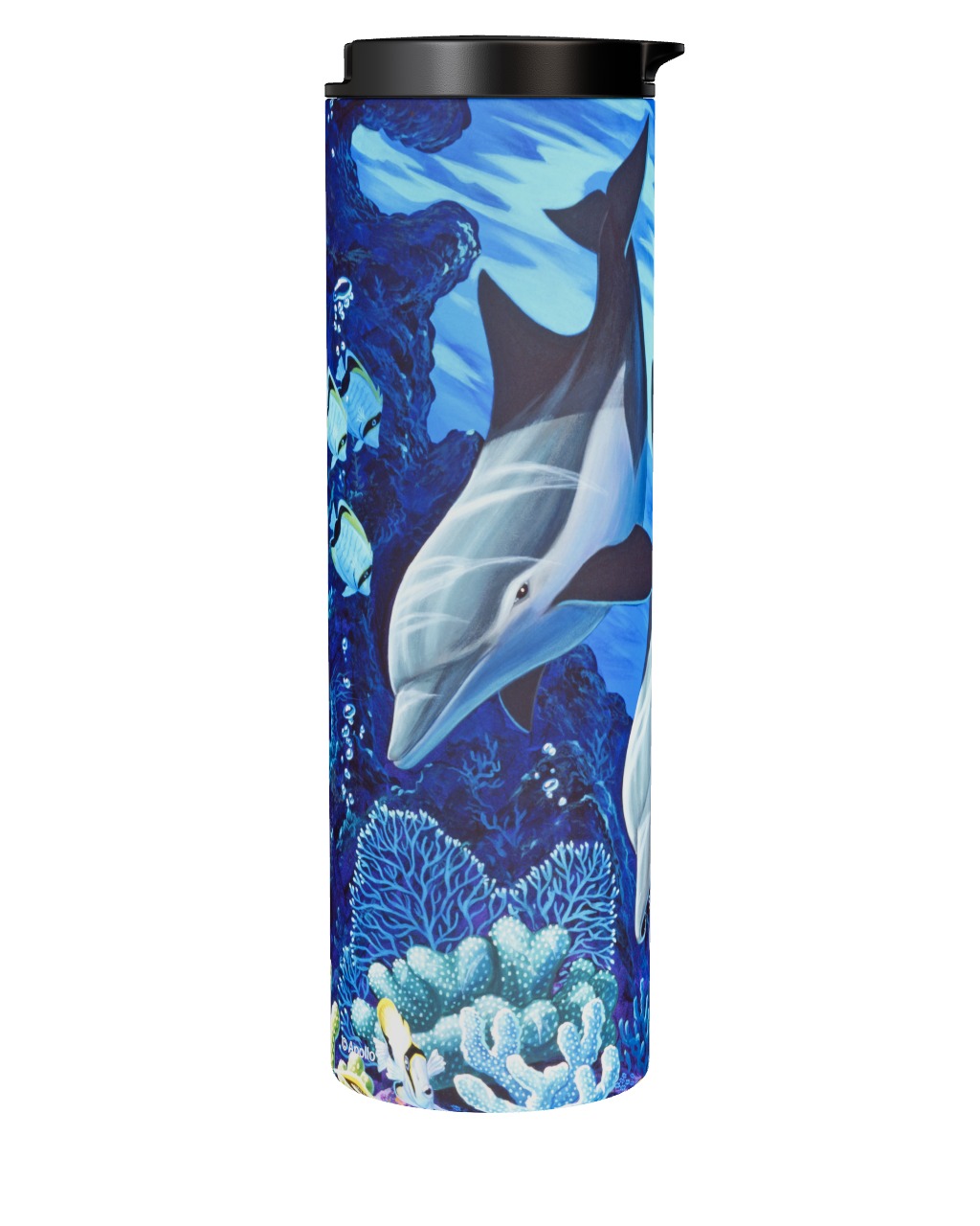 Treasures Of The Sea - Dolphins - Tumbler