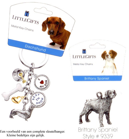 Brittany Spaniel