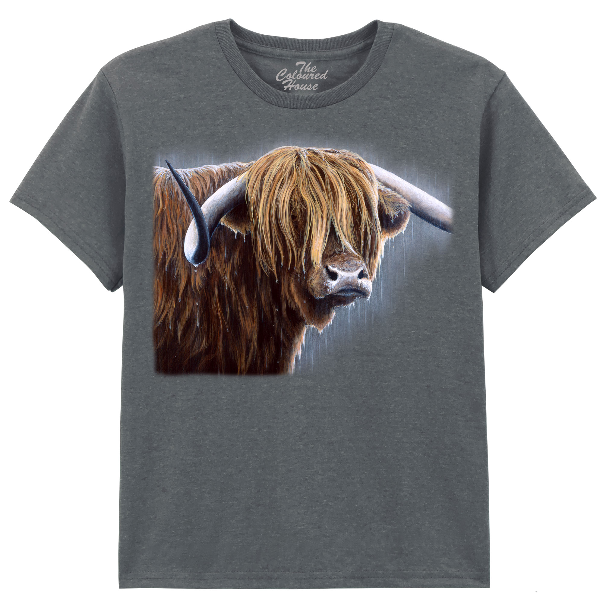 Highland Bull KIDS