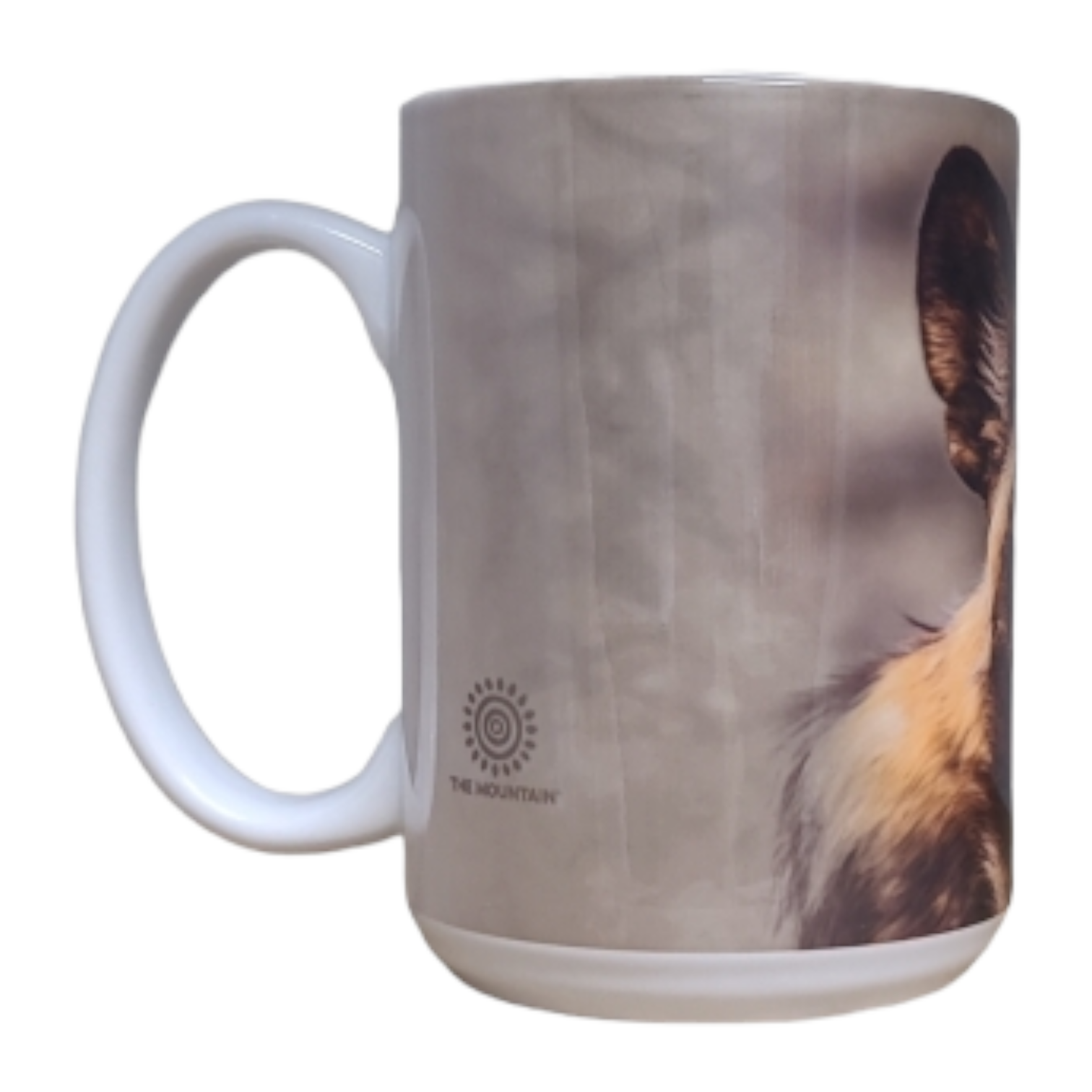 Becher African Wild Dog Portrait