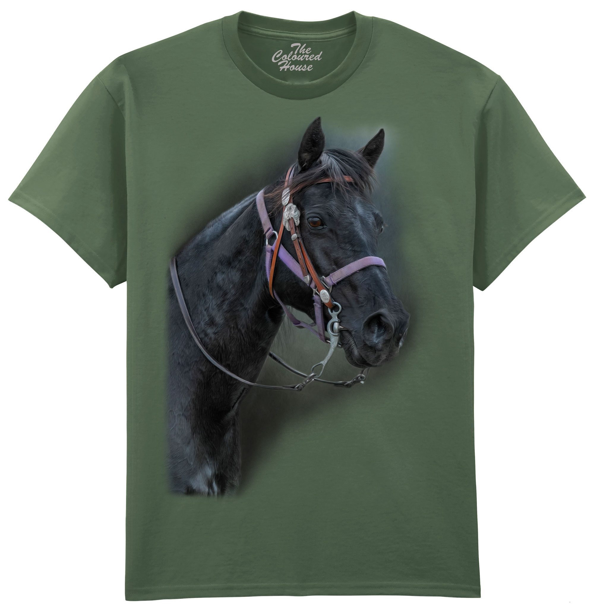 Pride Of The Pasture - Horse