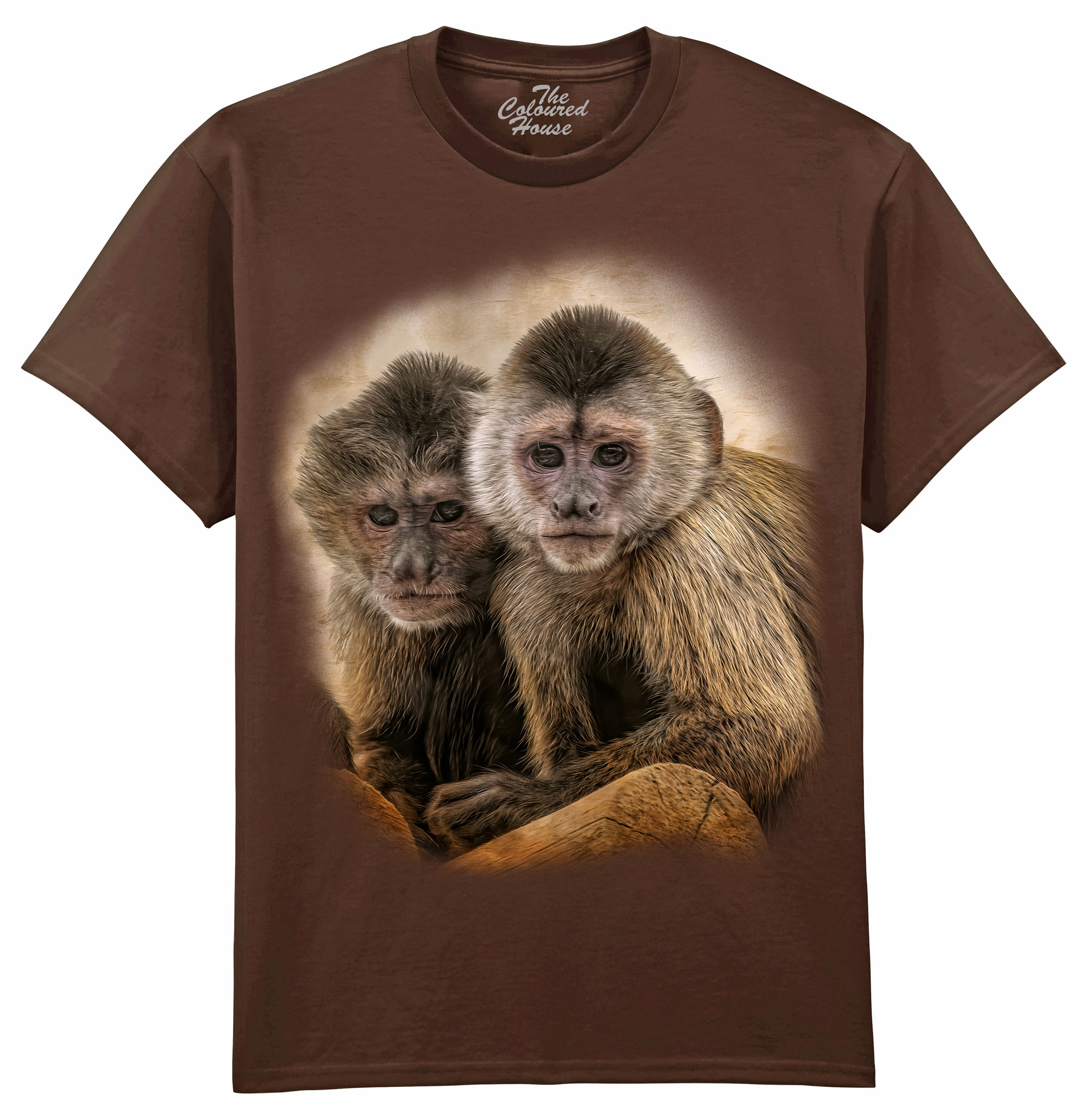 Companions In Mischief - Squirrel Monkeys