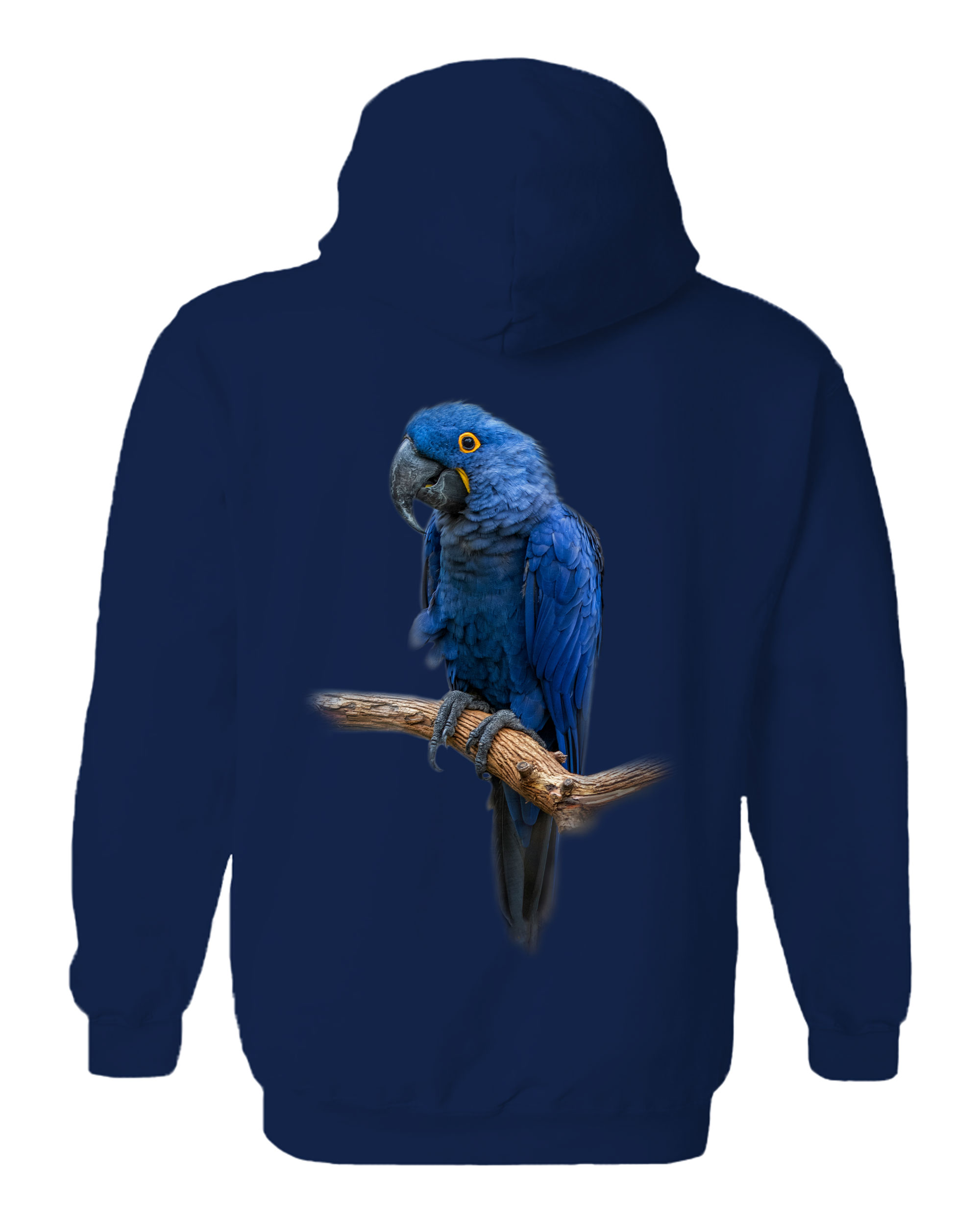 Blue Gem - Macaw Hoodie