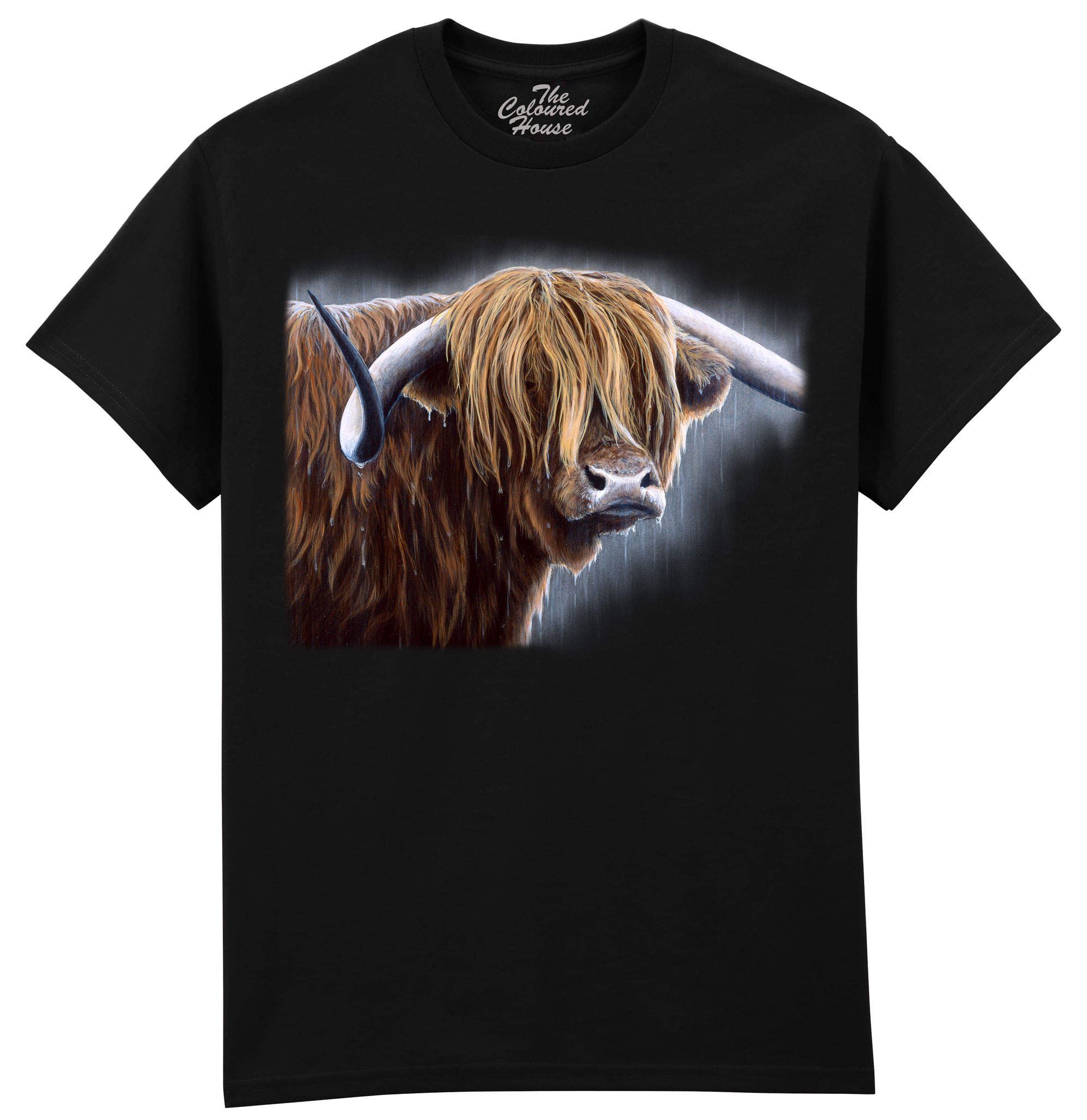 Highland Bull