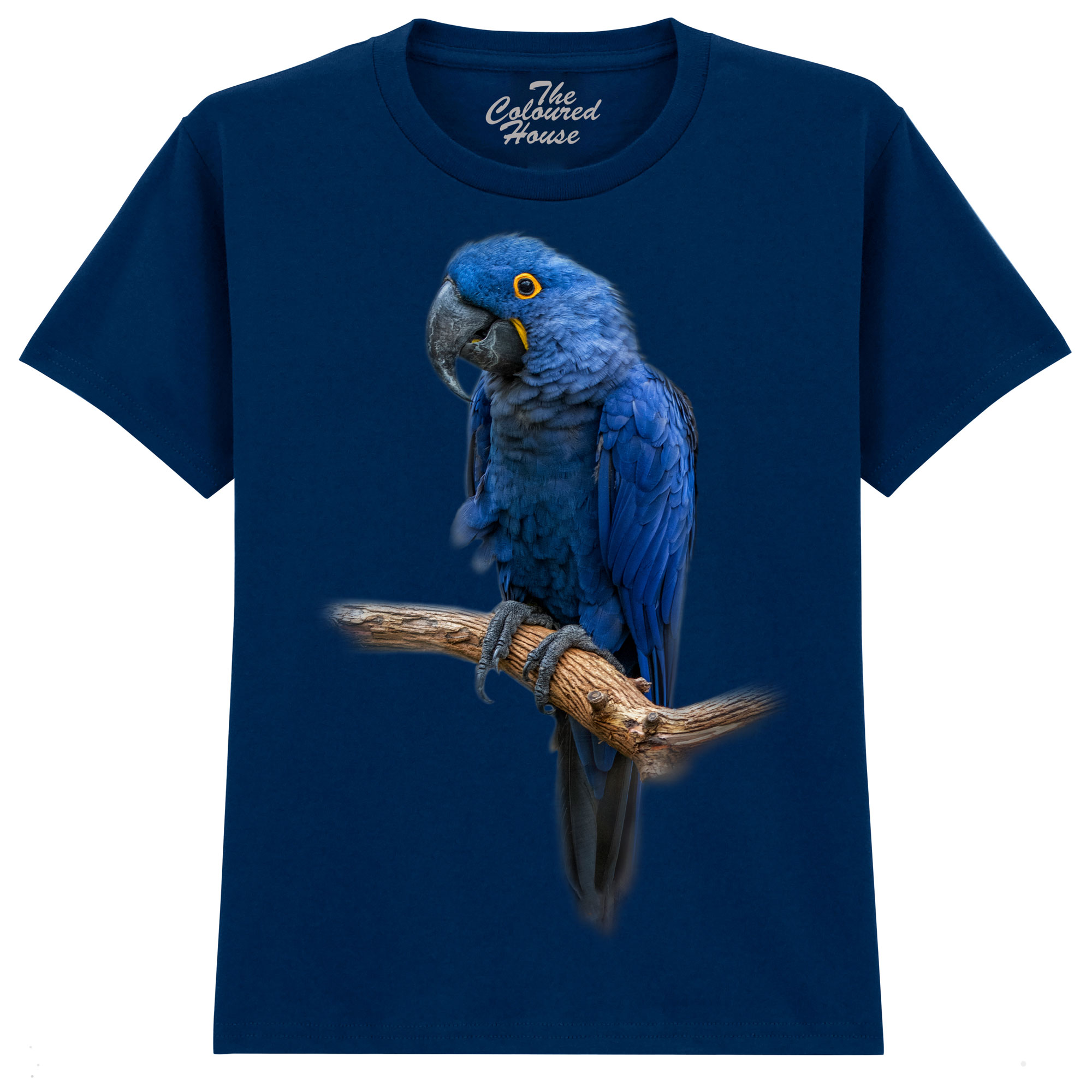 Blue Gem - Macaw KIDS