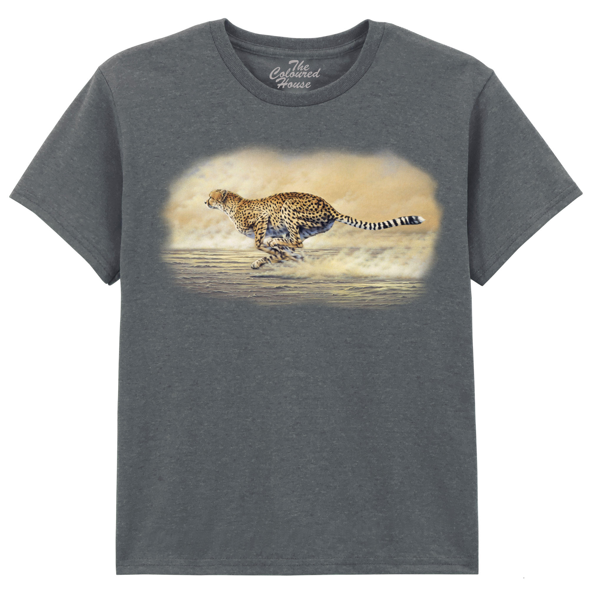 Chasing Cheetah KIDS