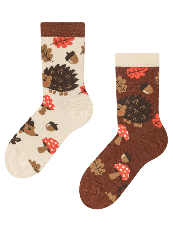 Regular KIDS Socks Forest Hedgehog
