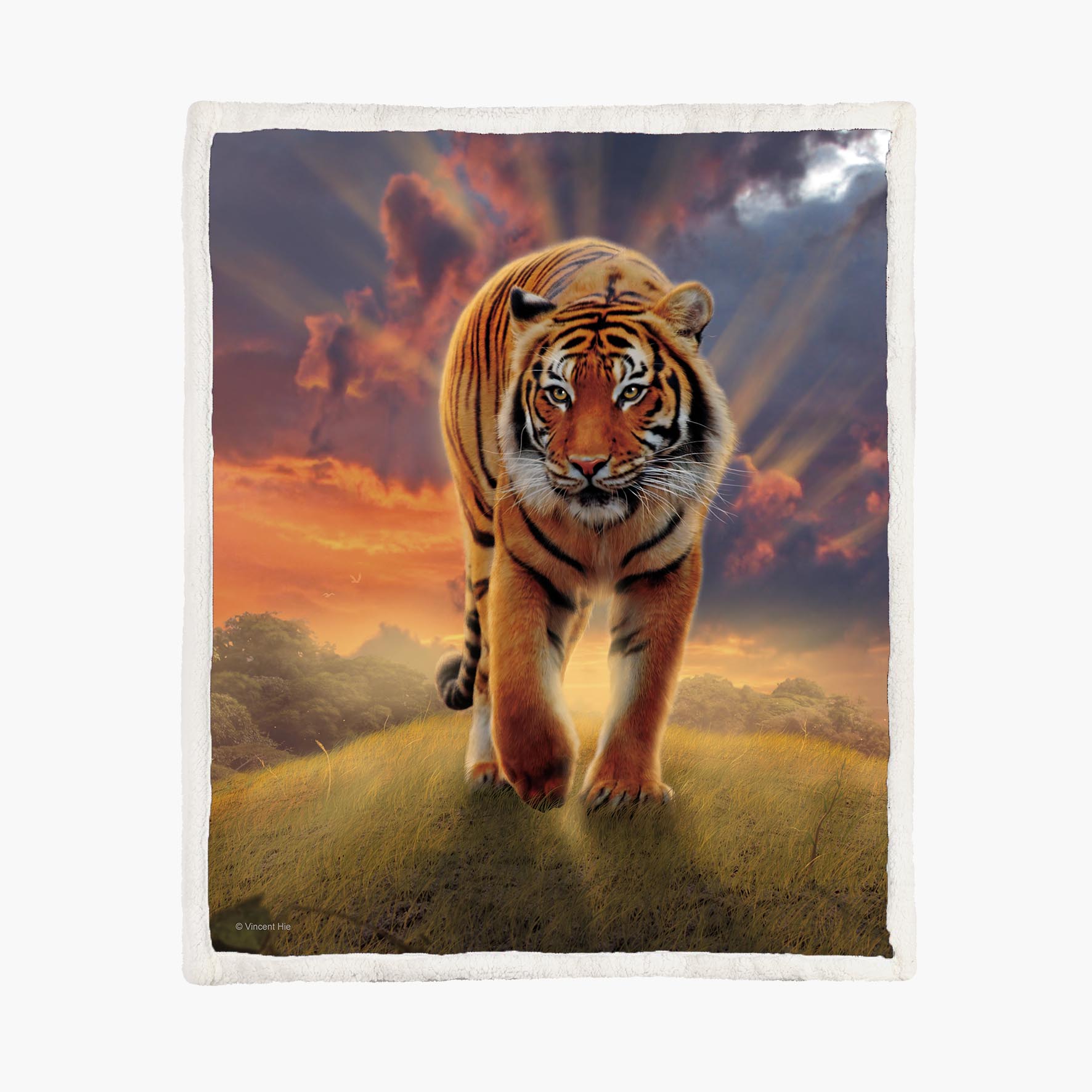 Sunrise Tiger - Size M - 130x150cm - Fleece Blanket