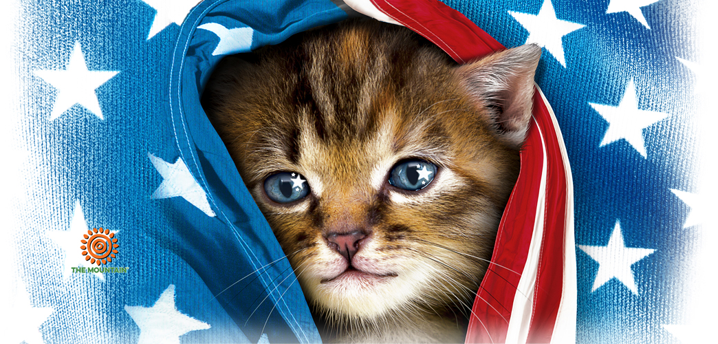 Mug Patriotic Kitten