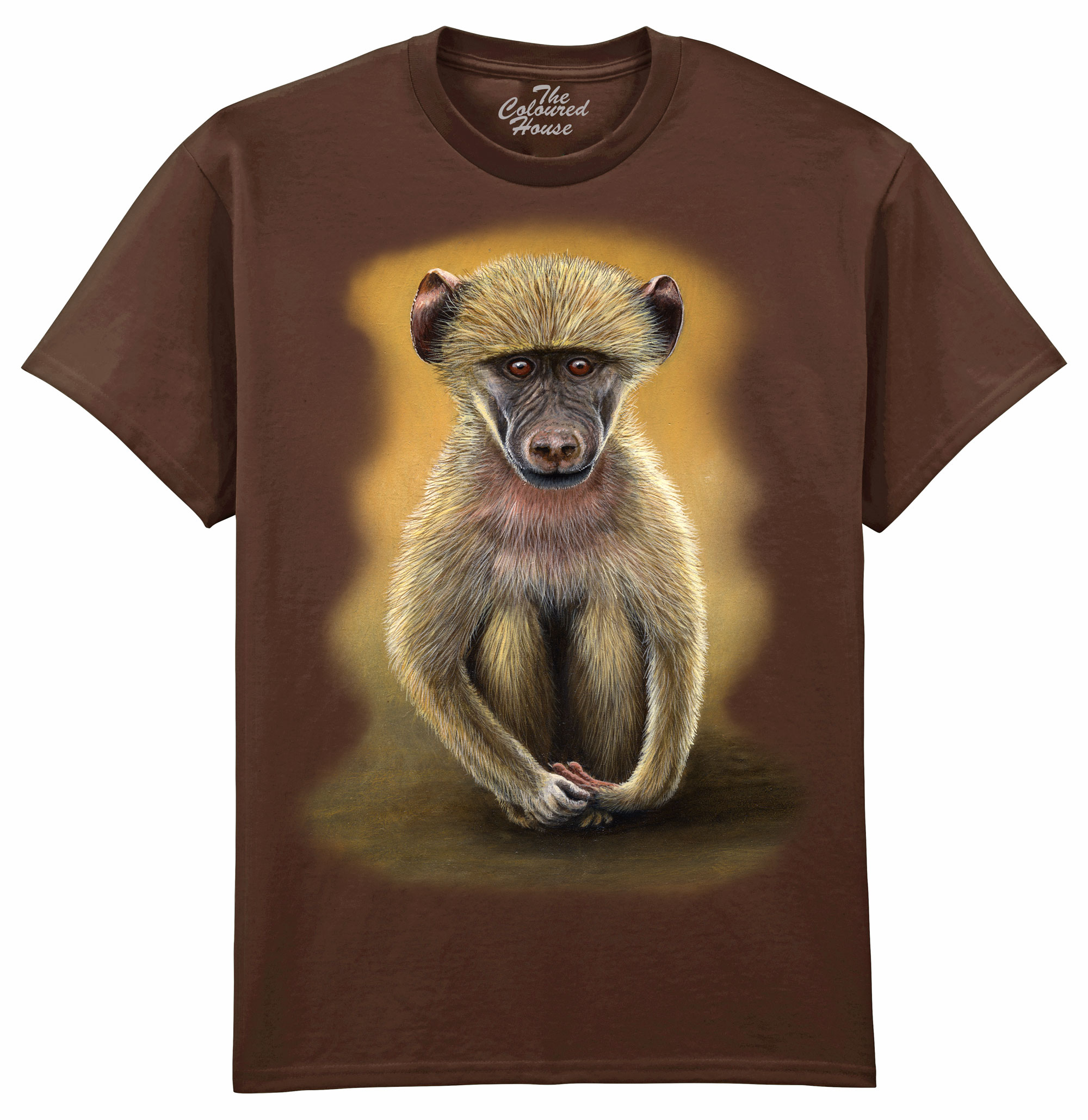 Baboon