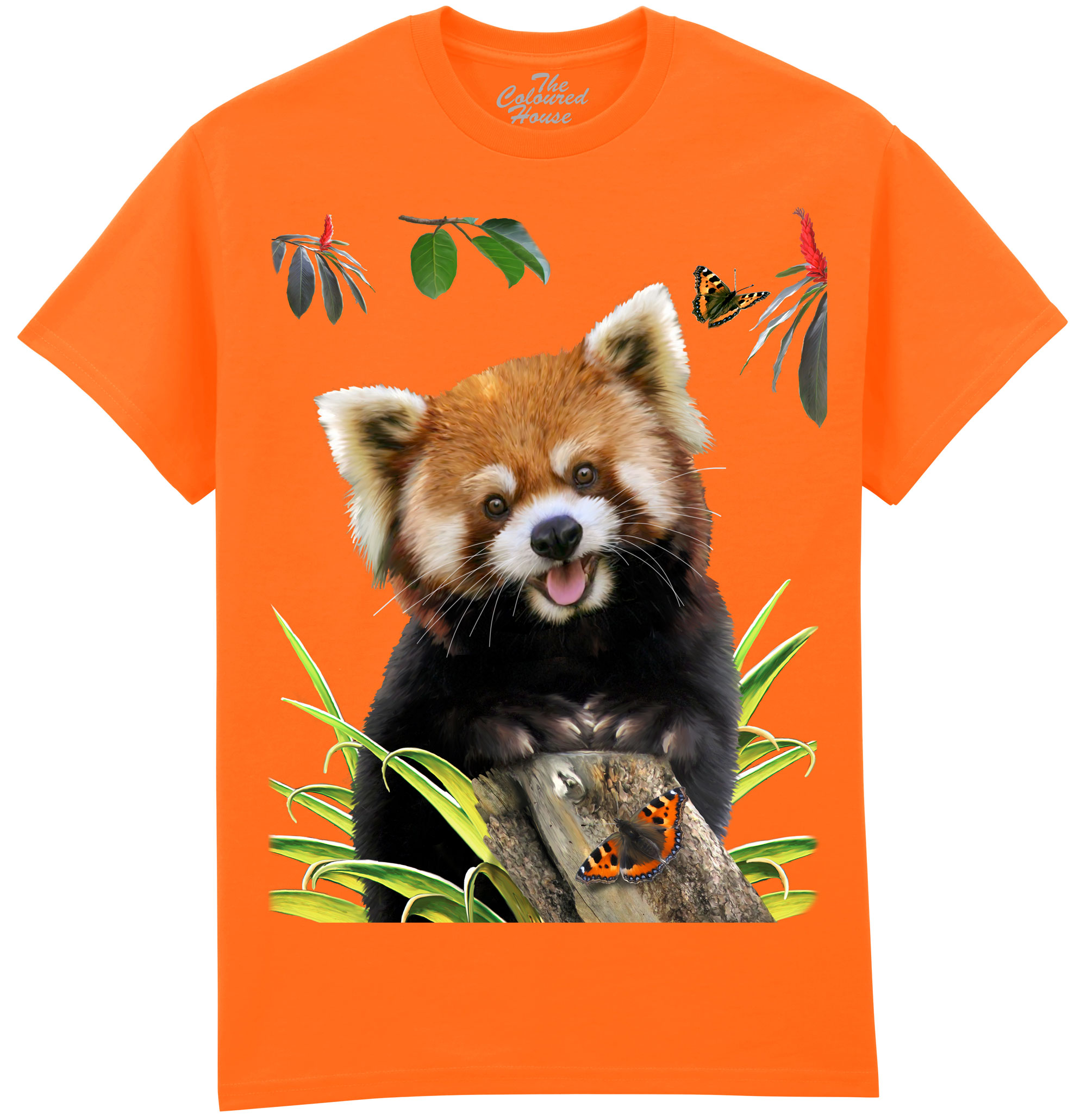 Lesser Red Panda