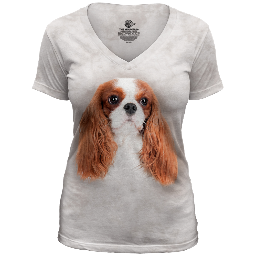 Cavalier King Charles Spaniel V-Neck Tri-Blend
