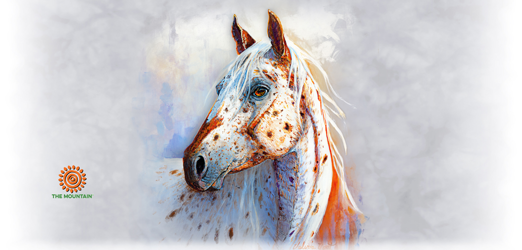Mug Appaloosa Soul
