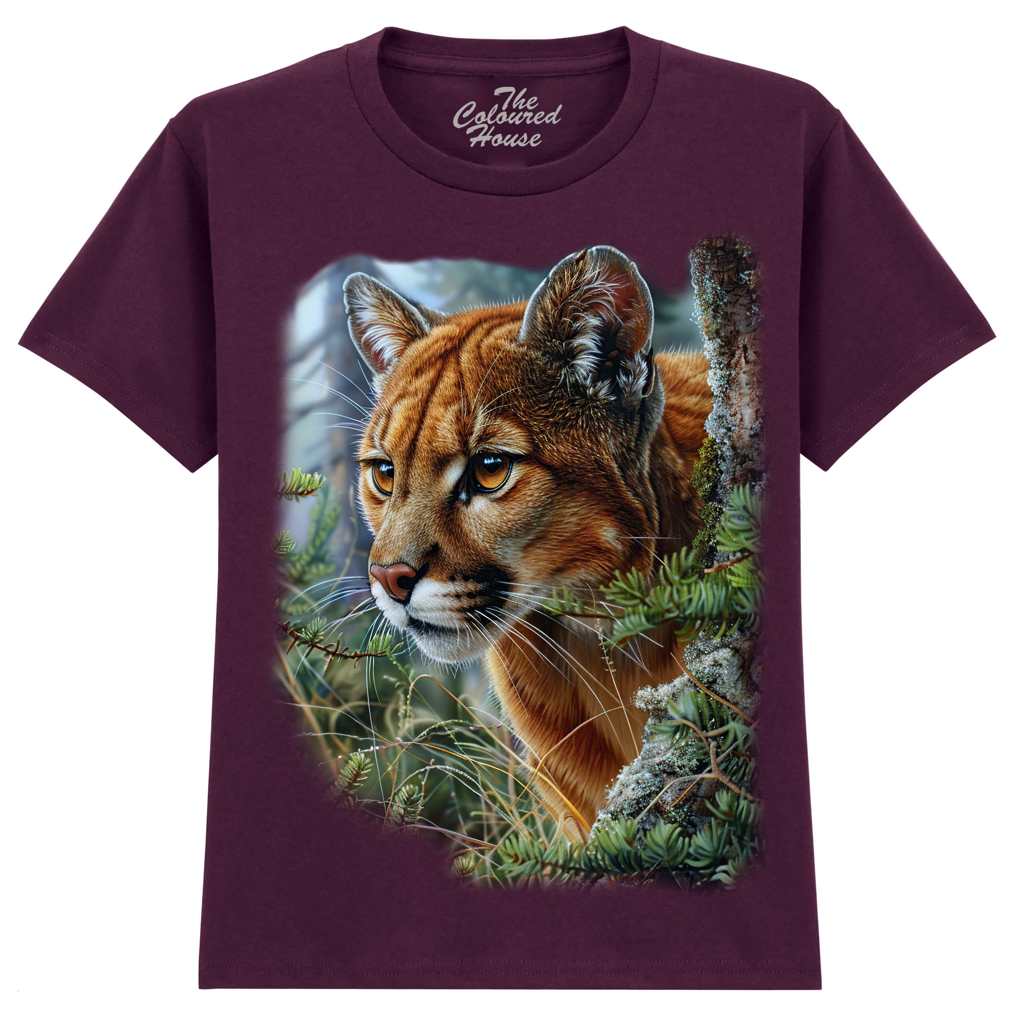 Mountain Lion Portrait KIDS