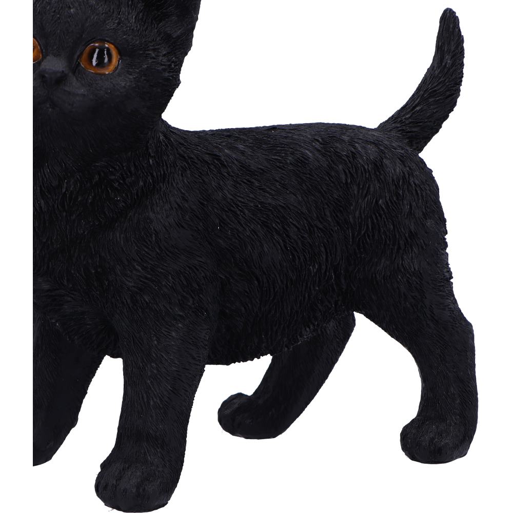 Charmed Companion 20cm - Black Cat Charmed Companion 20cm - Black Cat