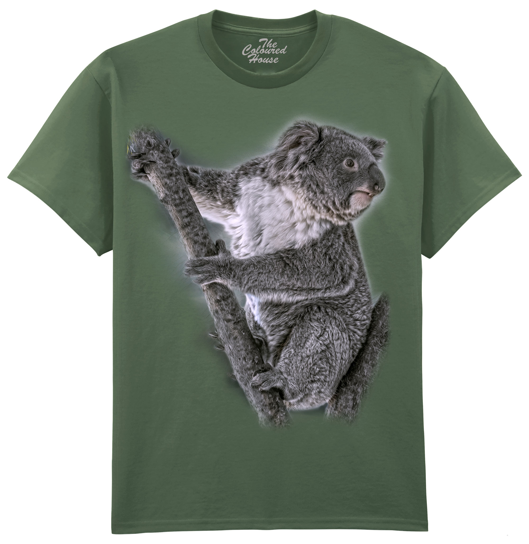 Eucalyptus Whisperer - Koala