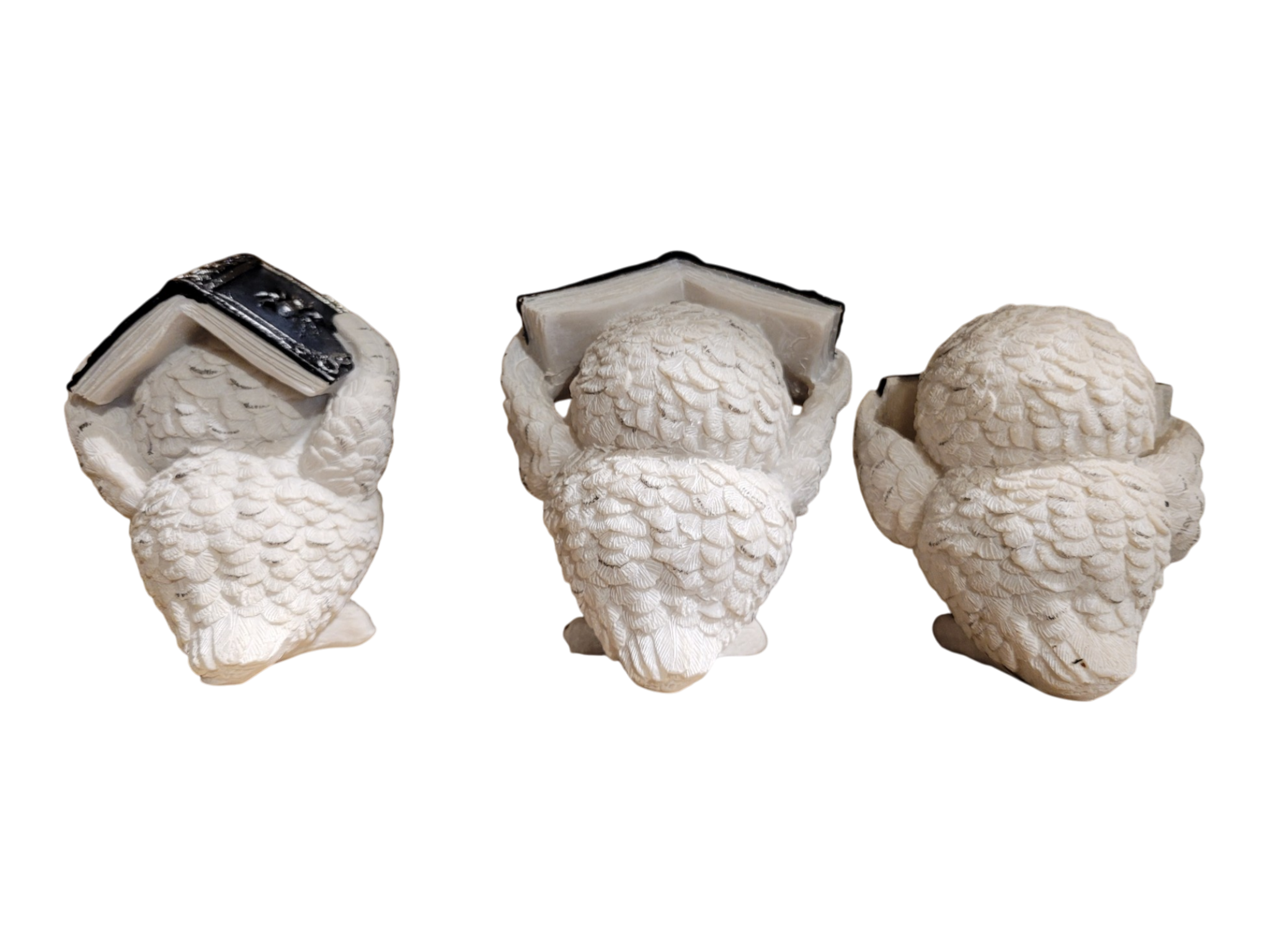 Three Wise White Owls Books