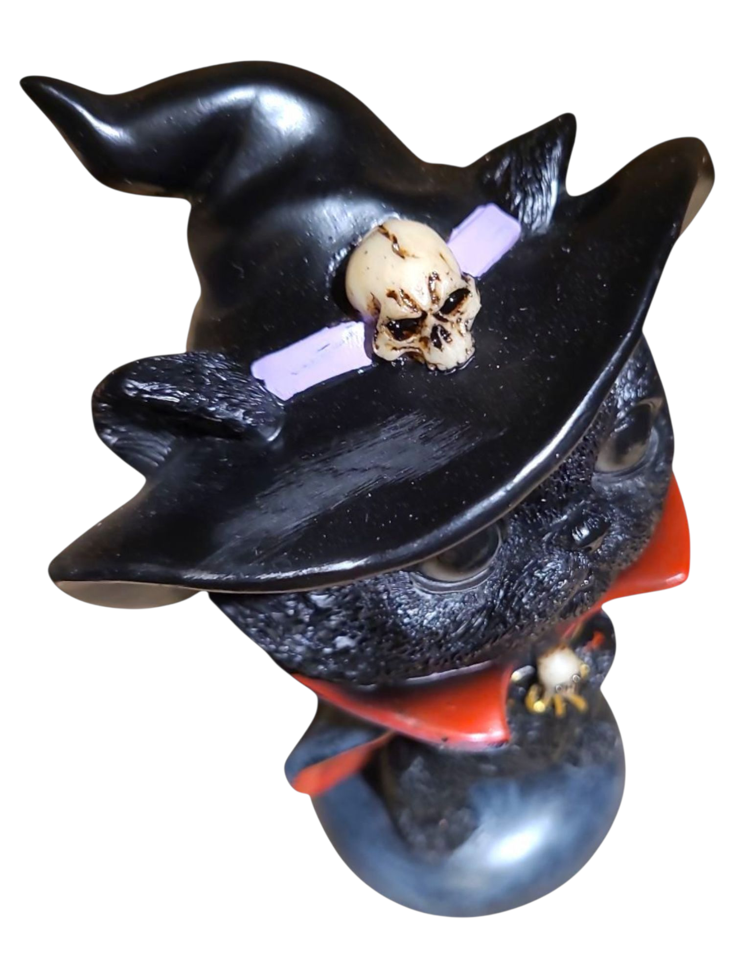 Black Wizard Cat