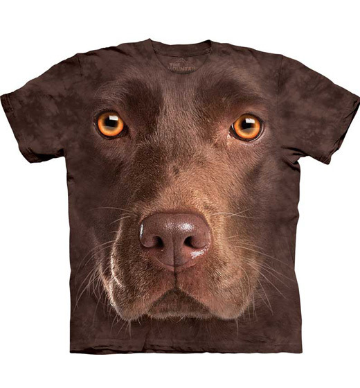 Chocolate Lab Face