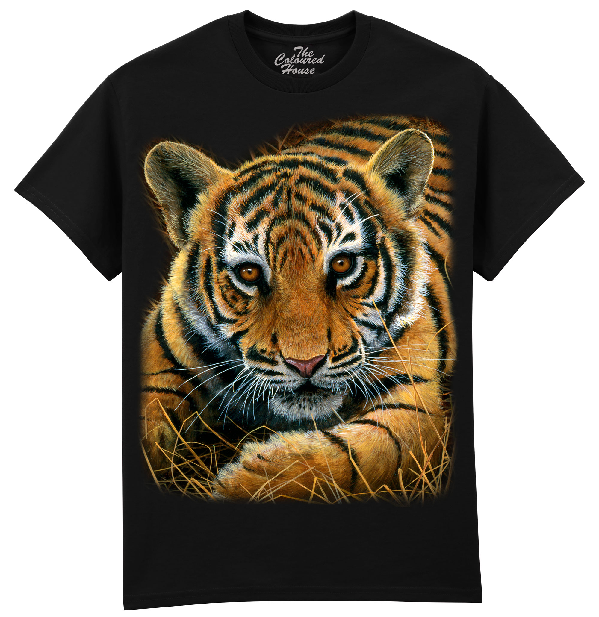 Tiger Cub