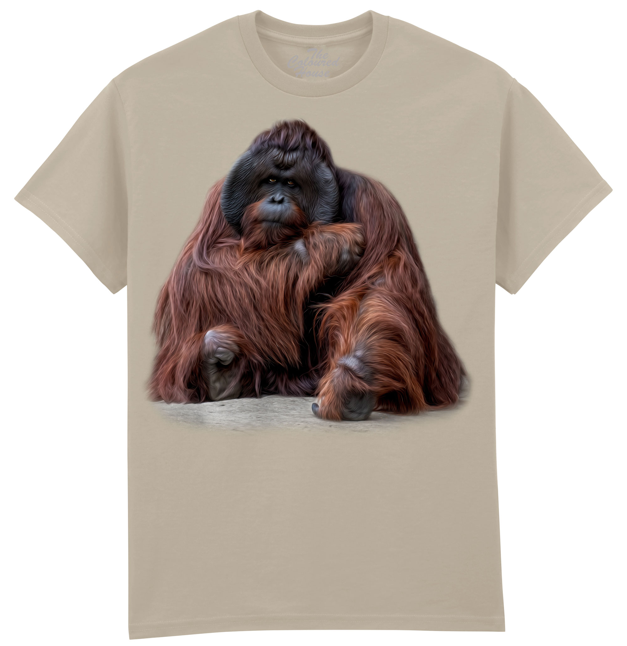 Wisdom Beyond Words - Orangutan