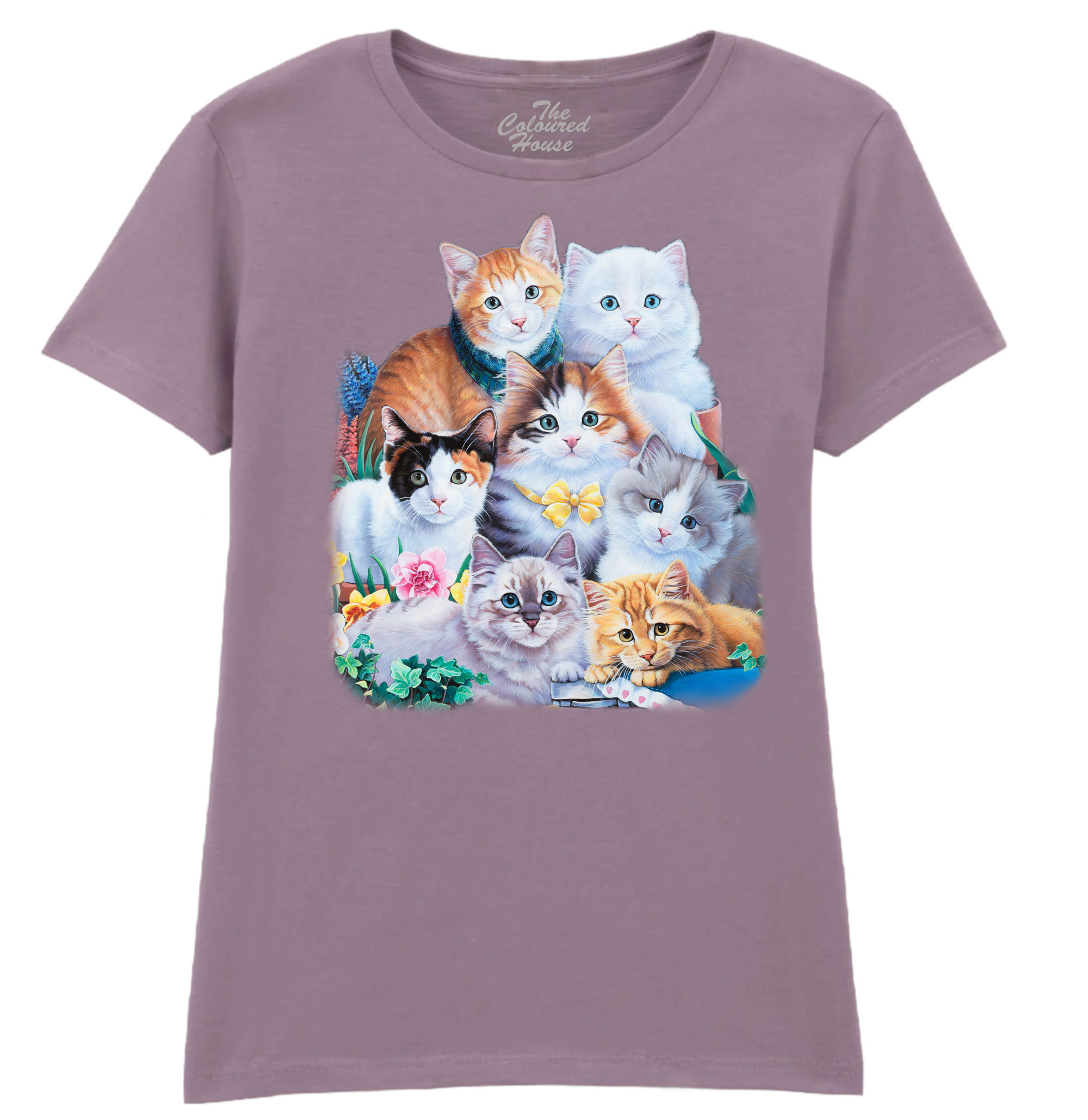 Kitten Collage Ladies T-shirt