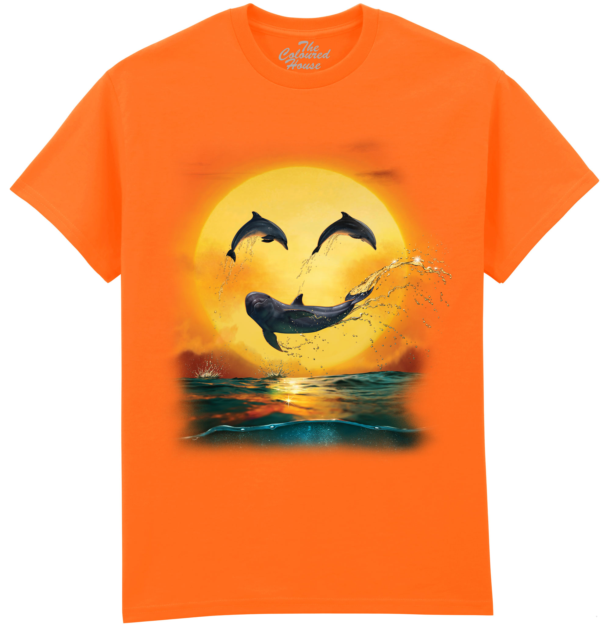 Dolphin Smiley