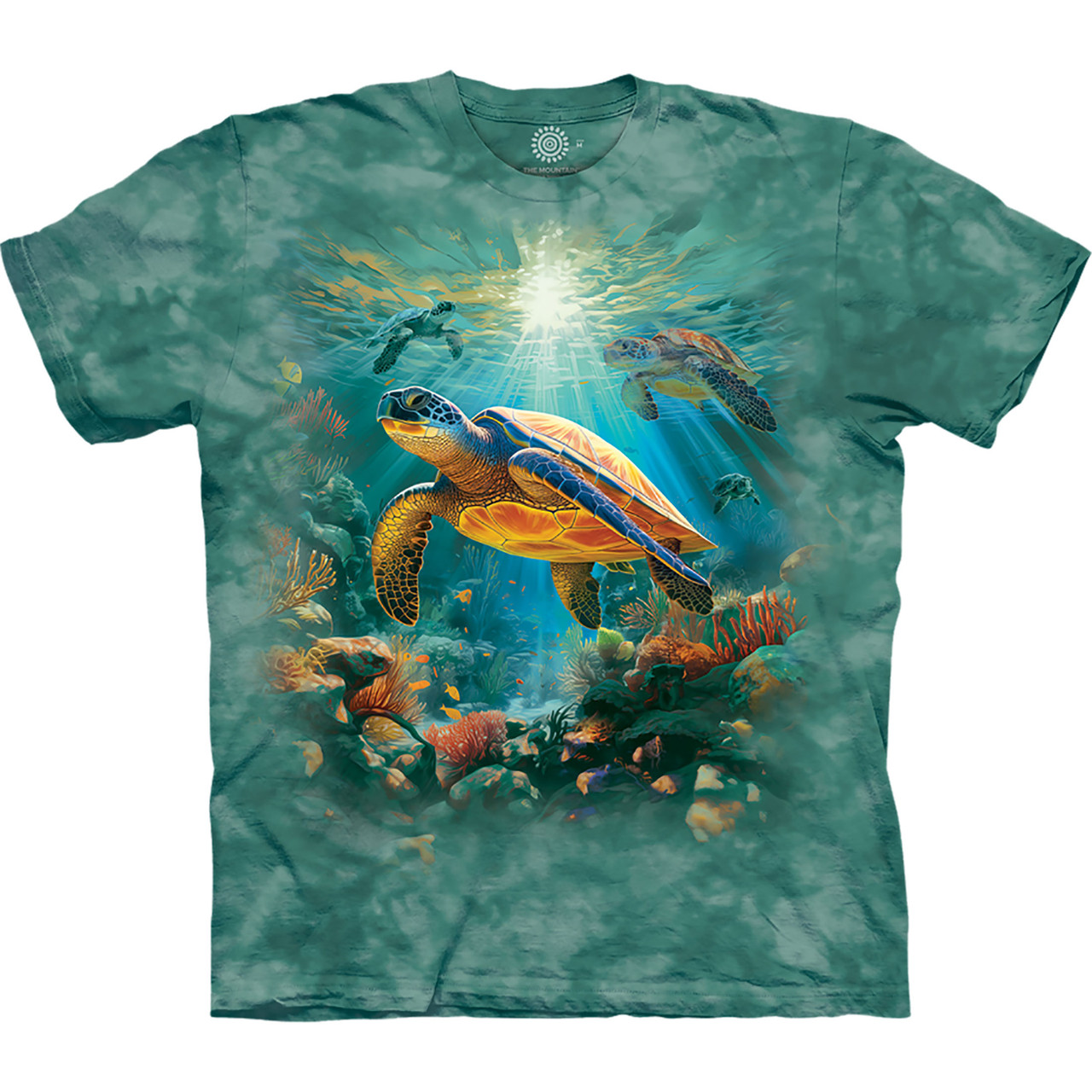 Sea Turtle Family