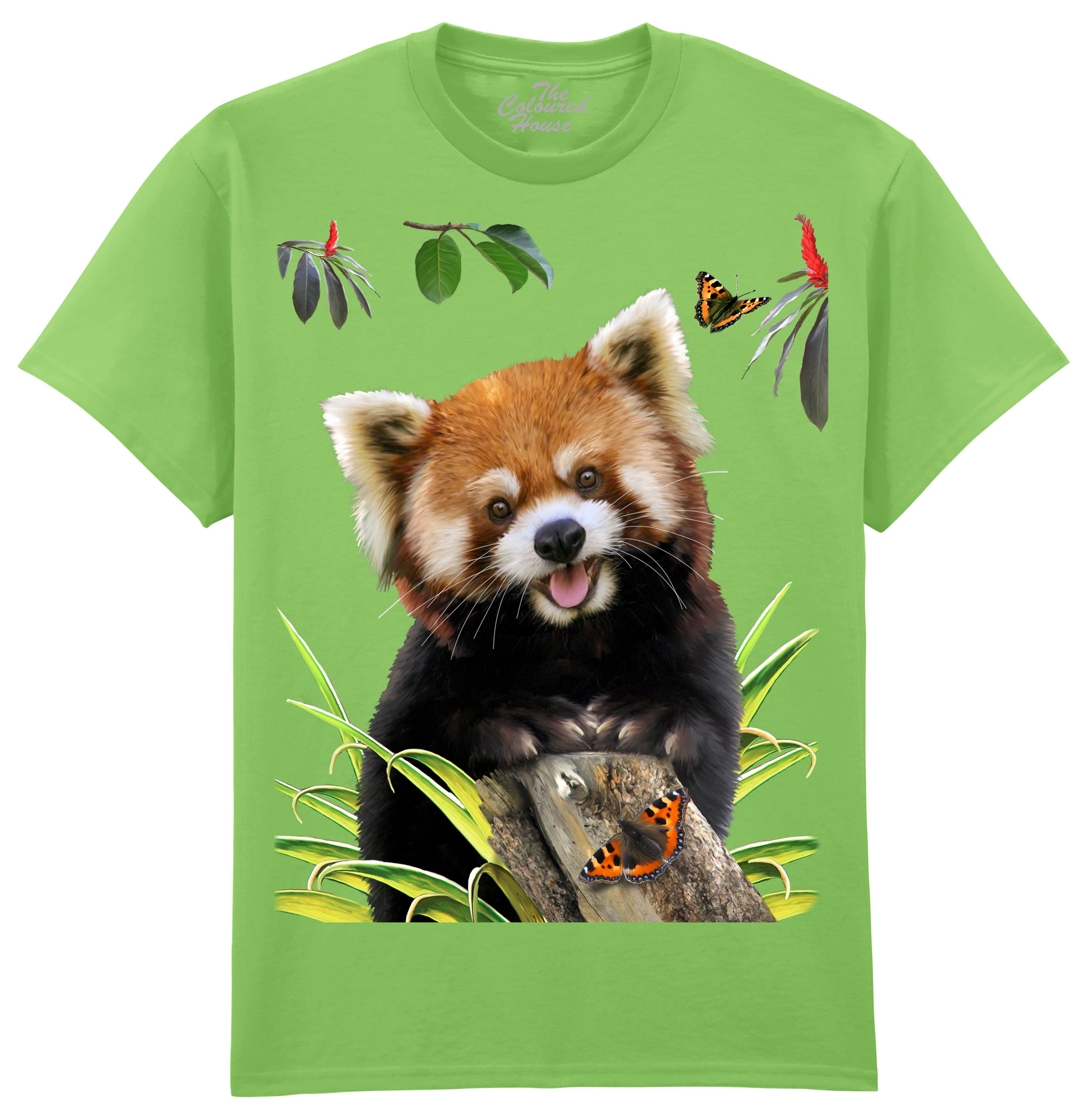 Lesser Red Panda