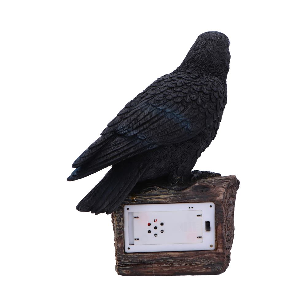 Ravens Cry 18cm Ravens Cry 18cm