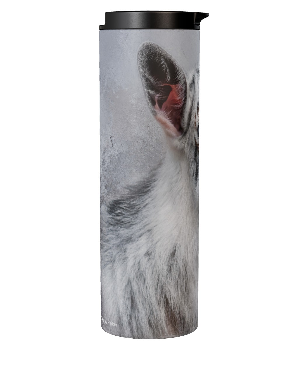 Cute And Curious Tumbler