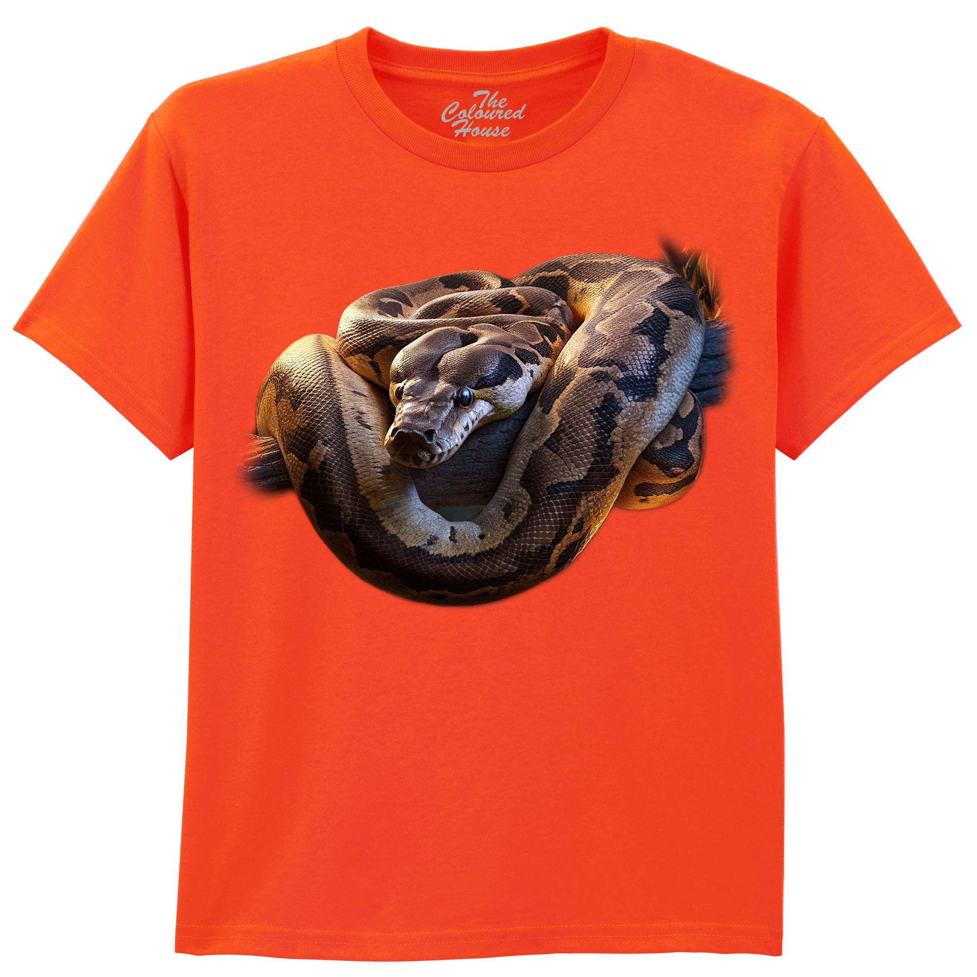 Jungle Snake KIDS Jungle Snake KIDS