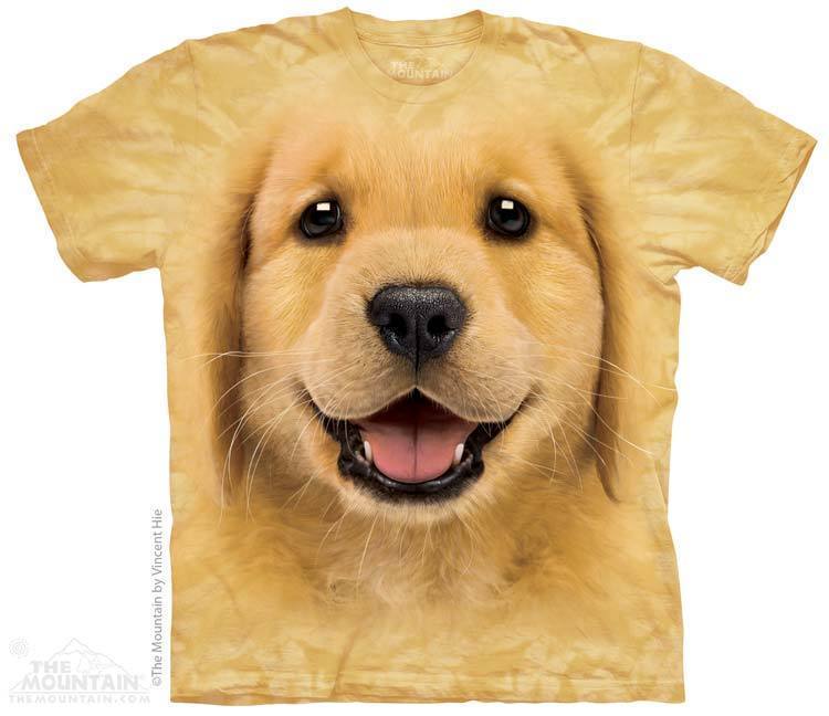 Golden Retriever Puppy