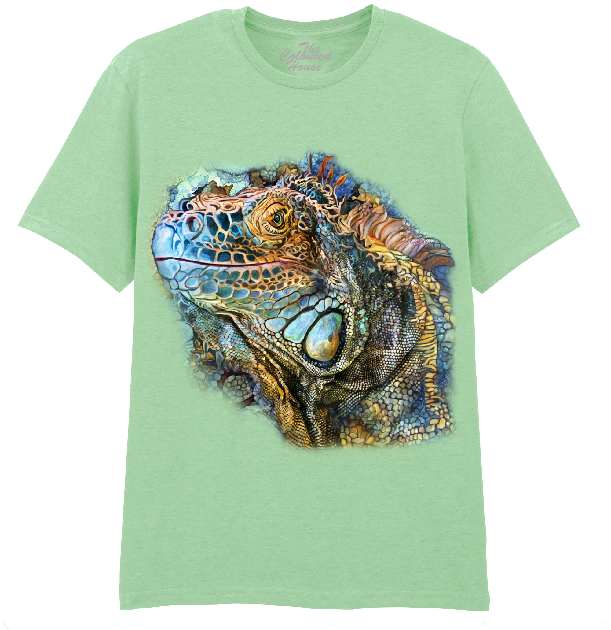 Iguana Spirit Of Contentment