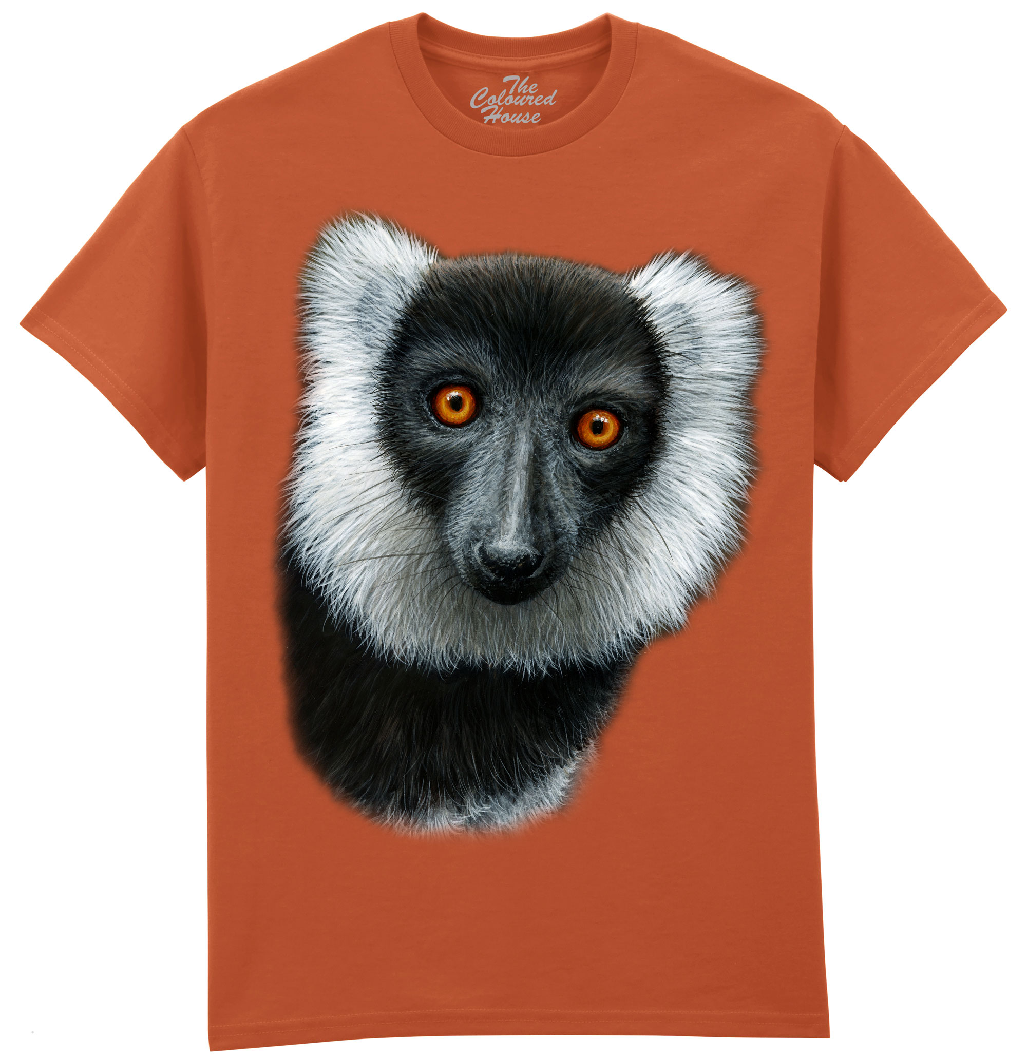 Black And White Ruffed Lemur