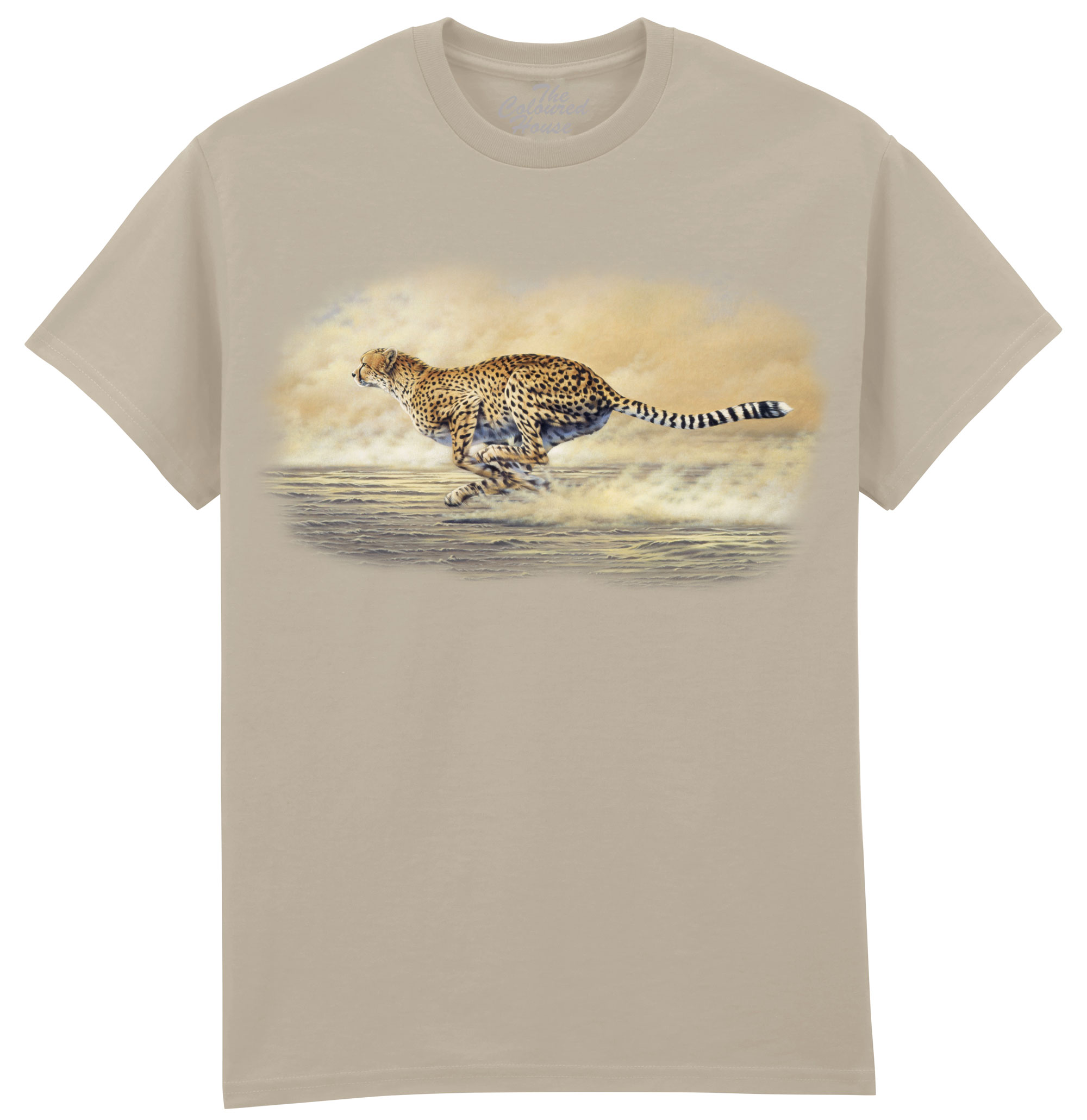 Chasing Cheetah