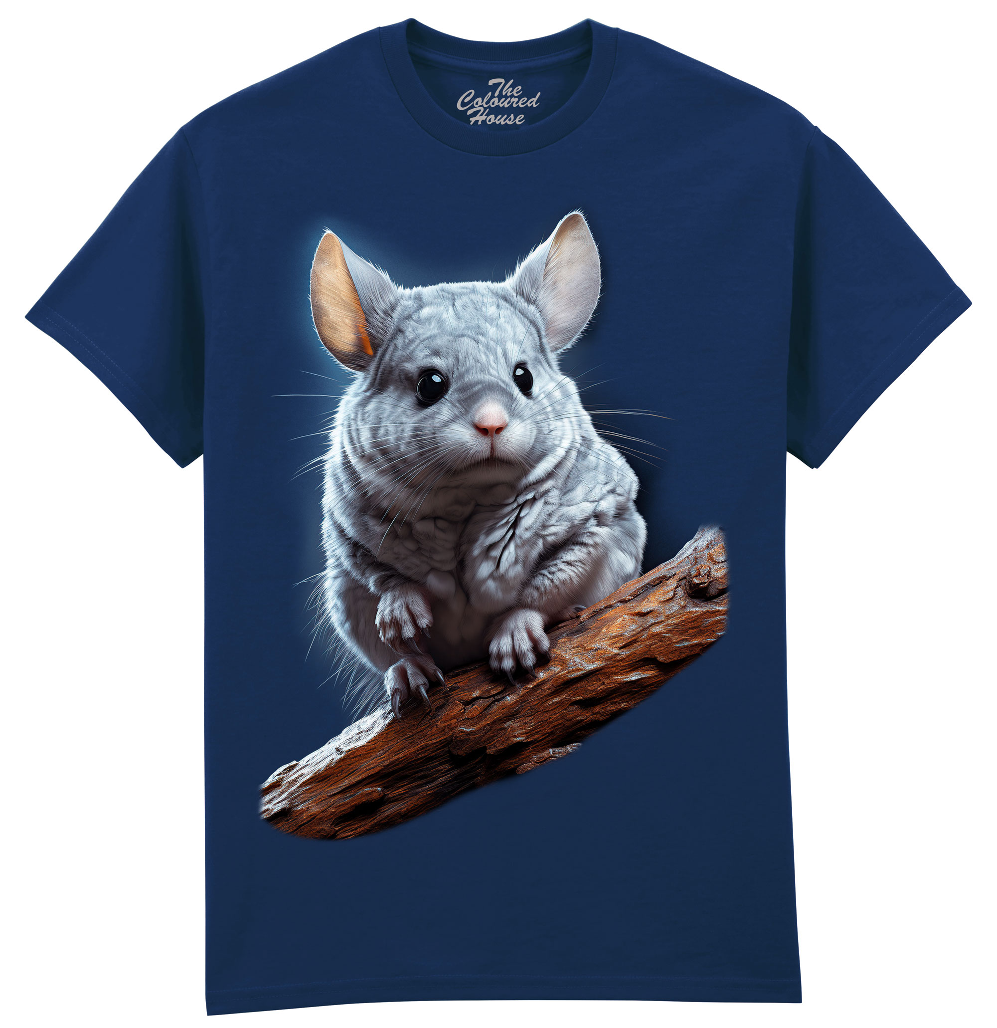 Chinchilla