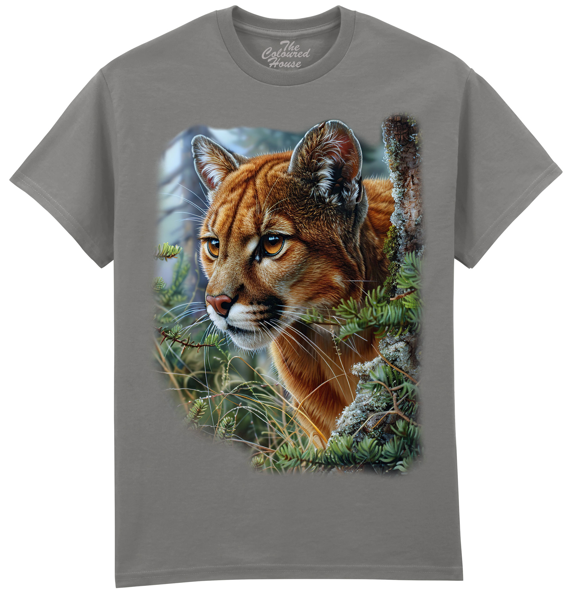 Mountain Lion Portrait