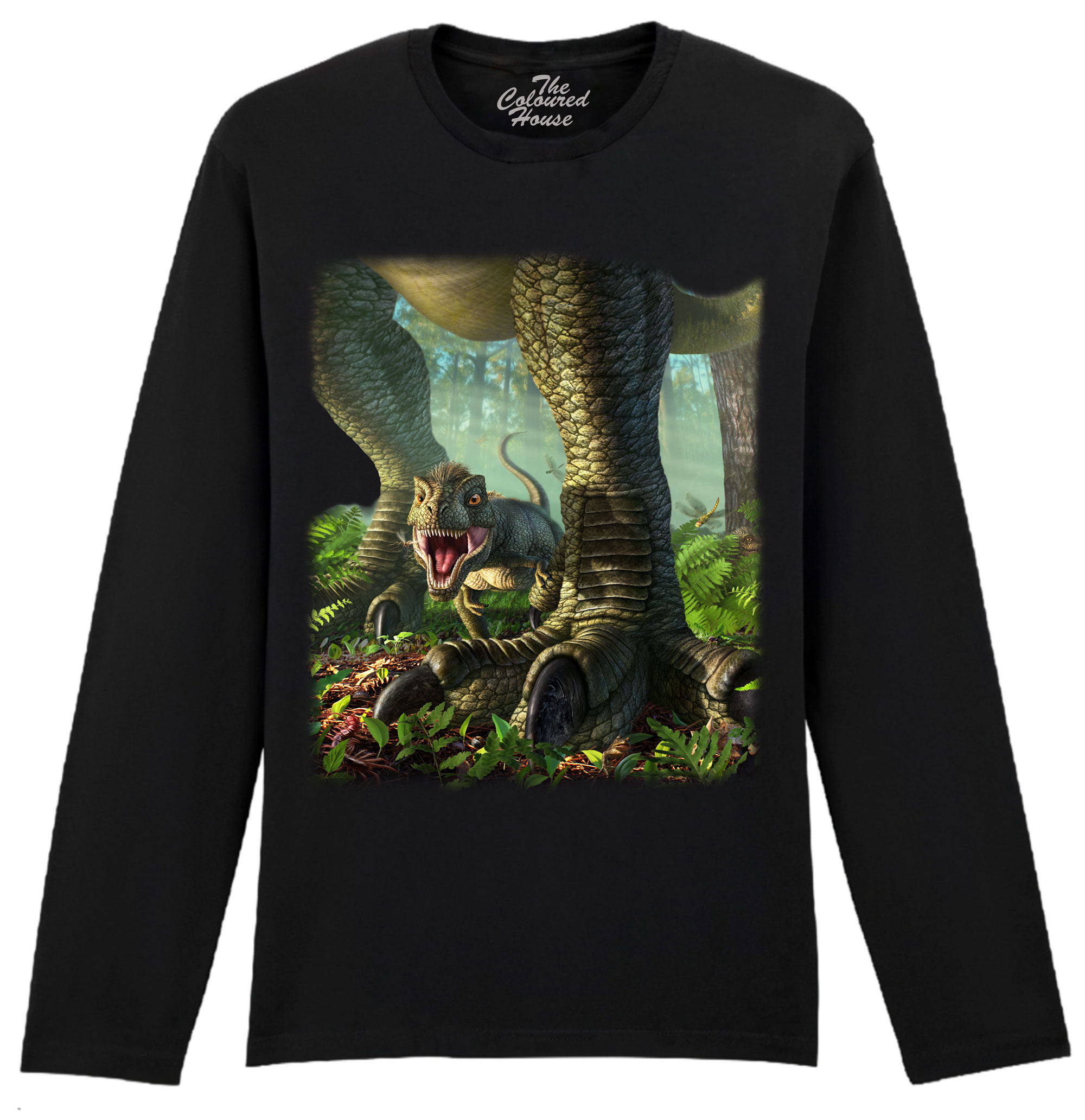 Wee Rex - Dinosaur Longsleeve