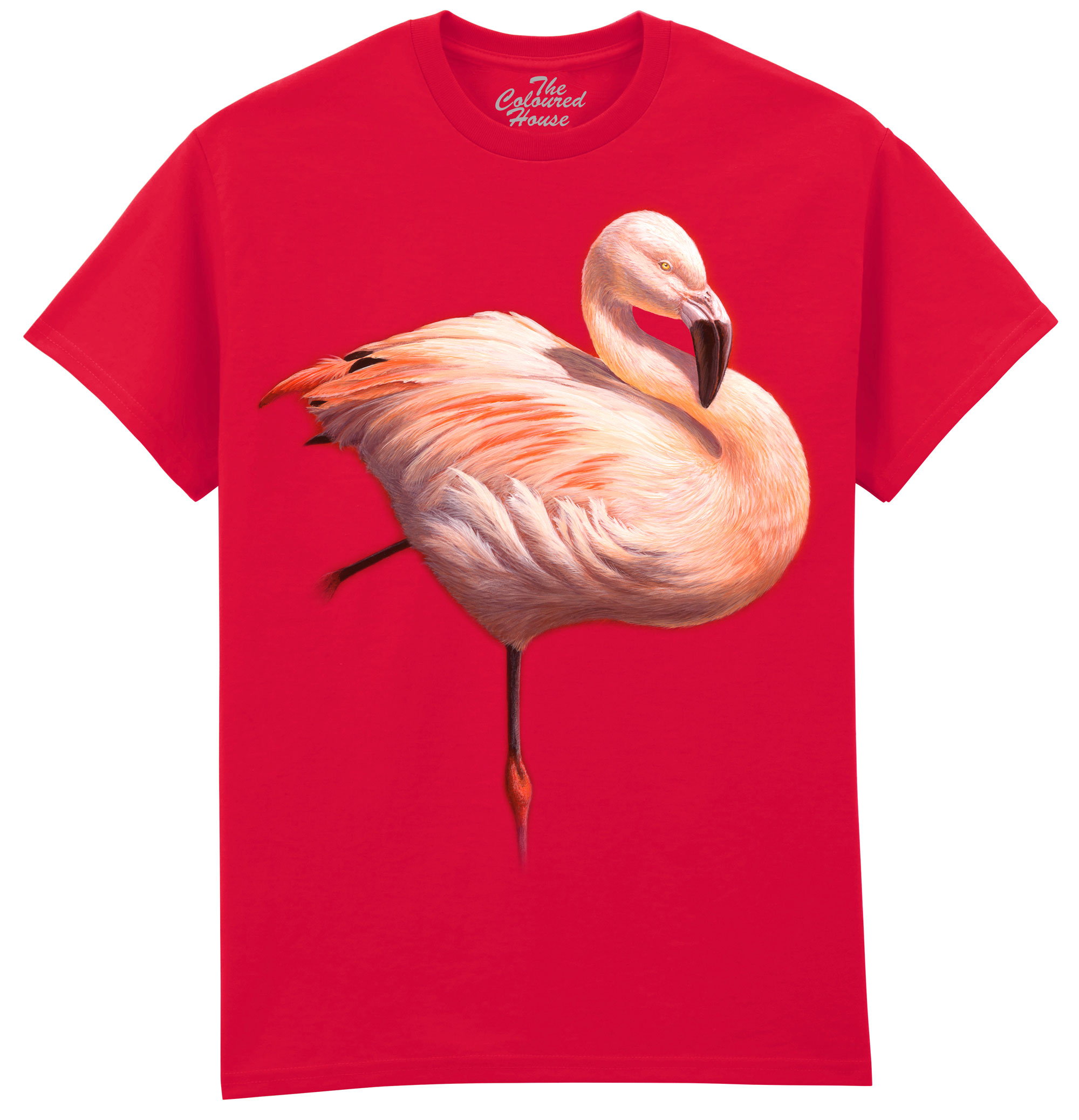 Flame Flamingo