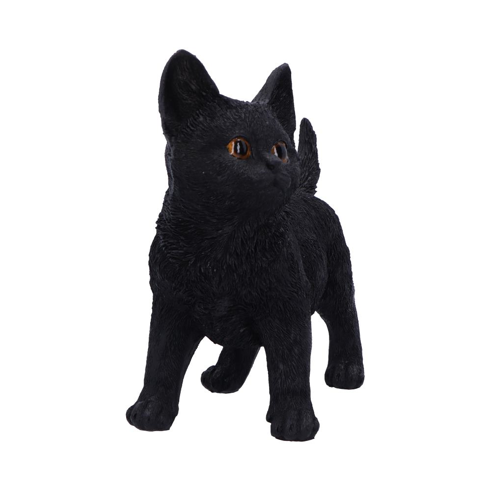 Charmed Companion 20cm - Black Cat Charmed Companion 20cm - Black Cat