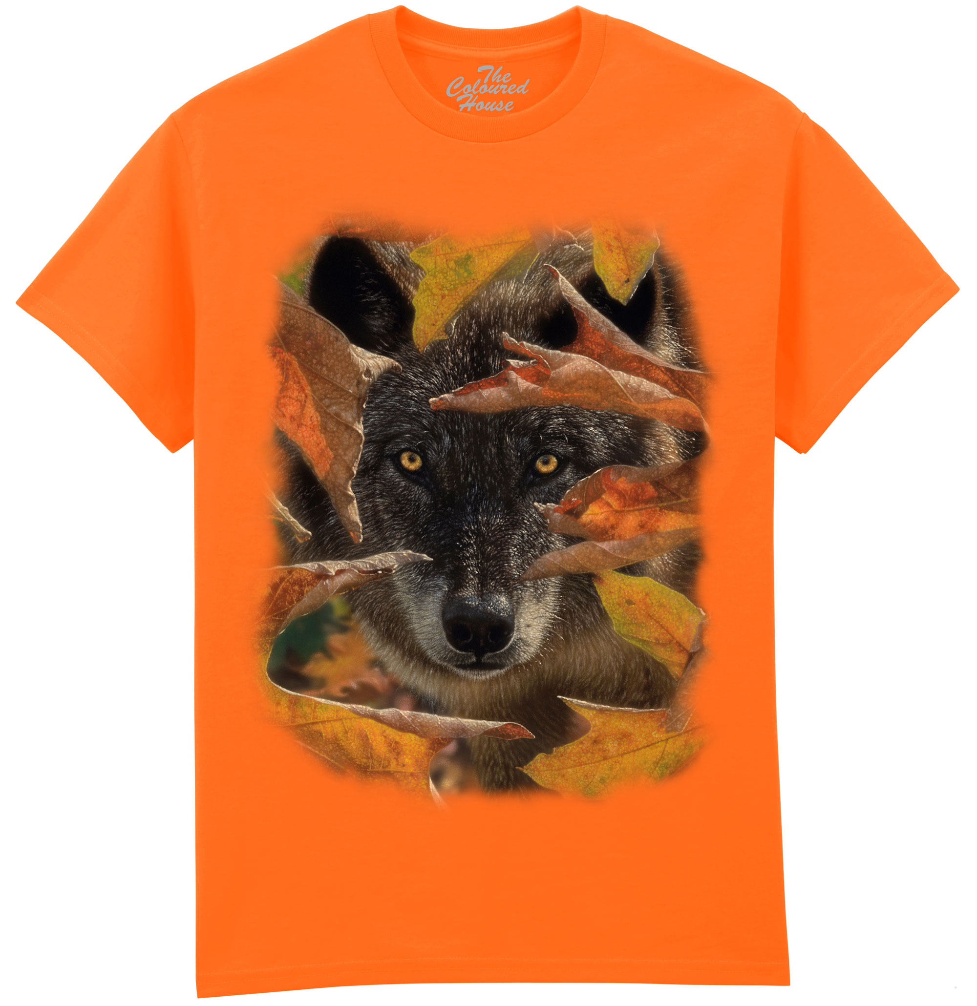 Autumn Black Wolf