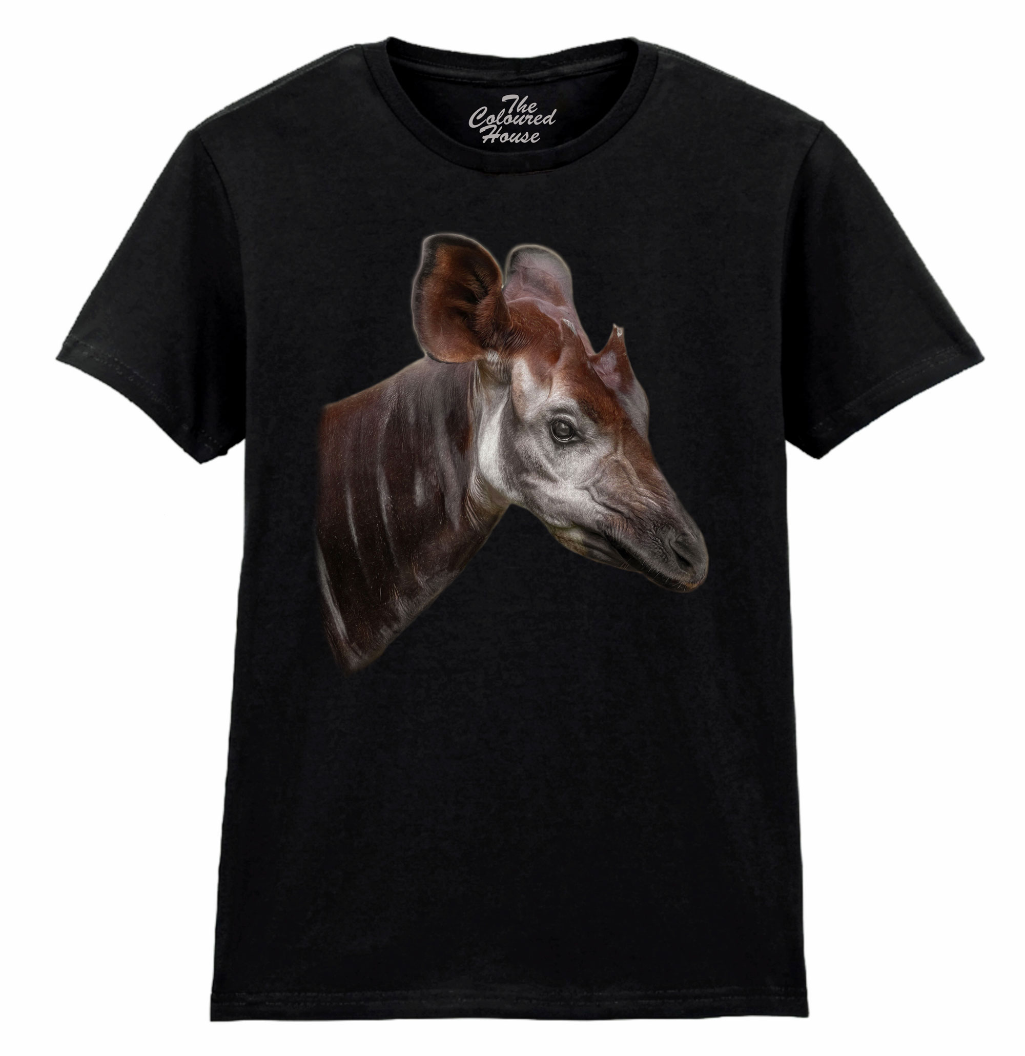 The Elusive Okapi Ladies T-shirt