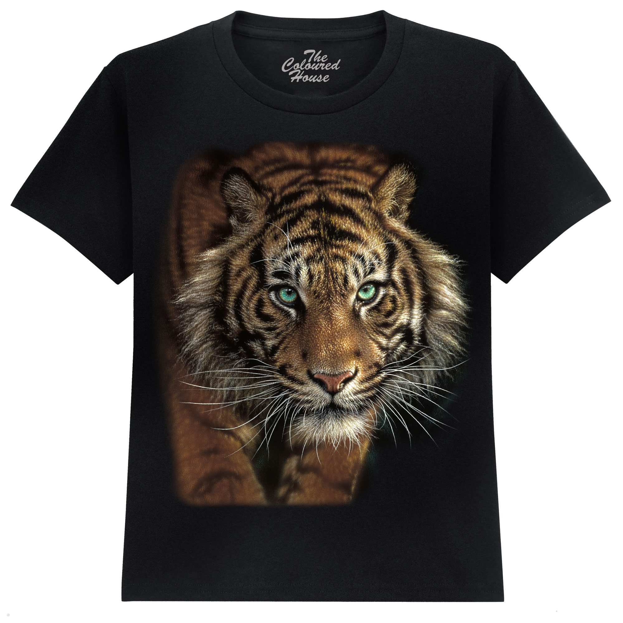 Eye Of The Tiger KIDS 