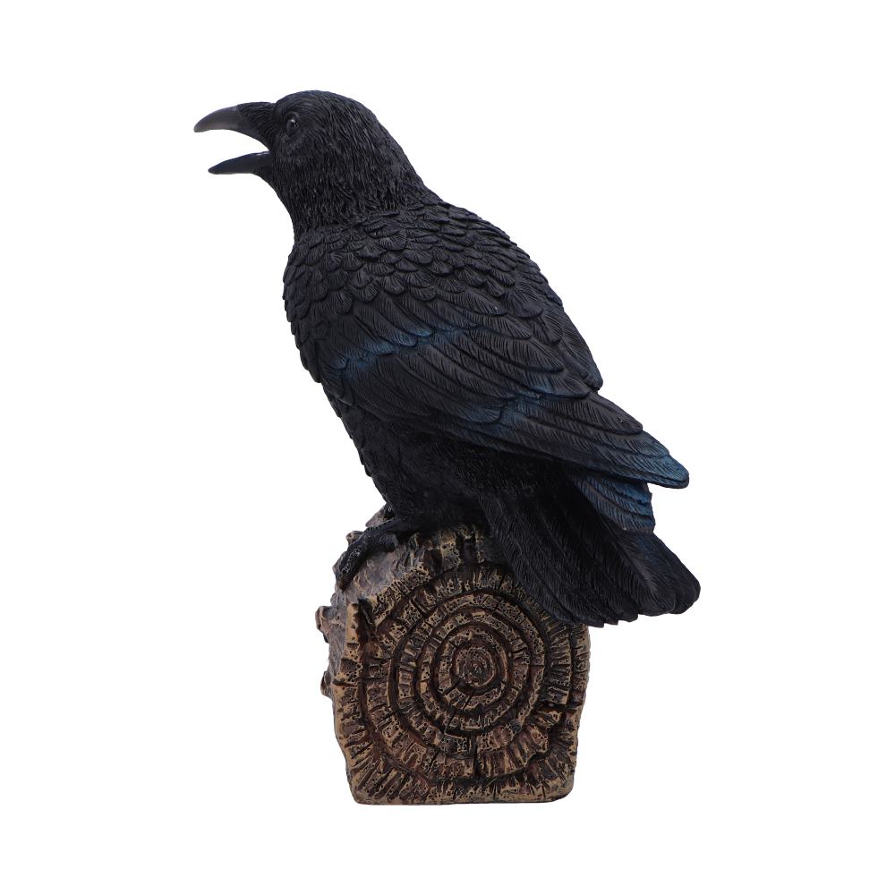 Ravens Cry 18cm Ravens Cry 18cm