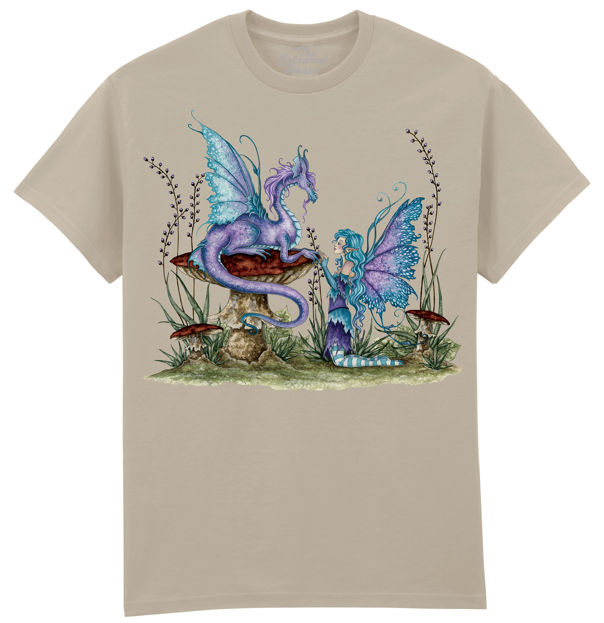 Companions - Fairy and Dragon