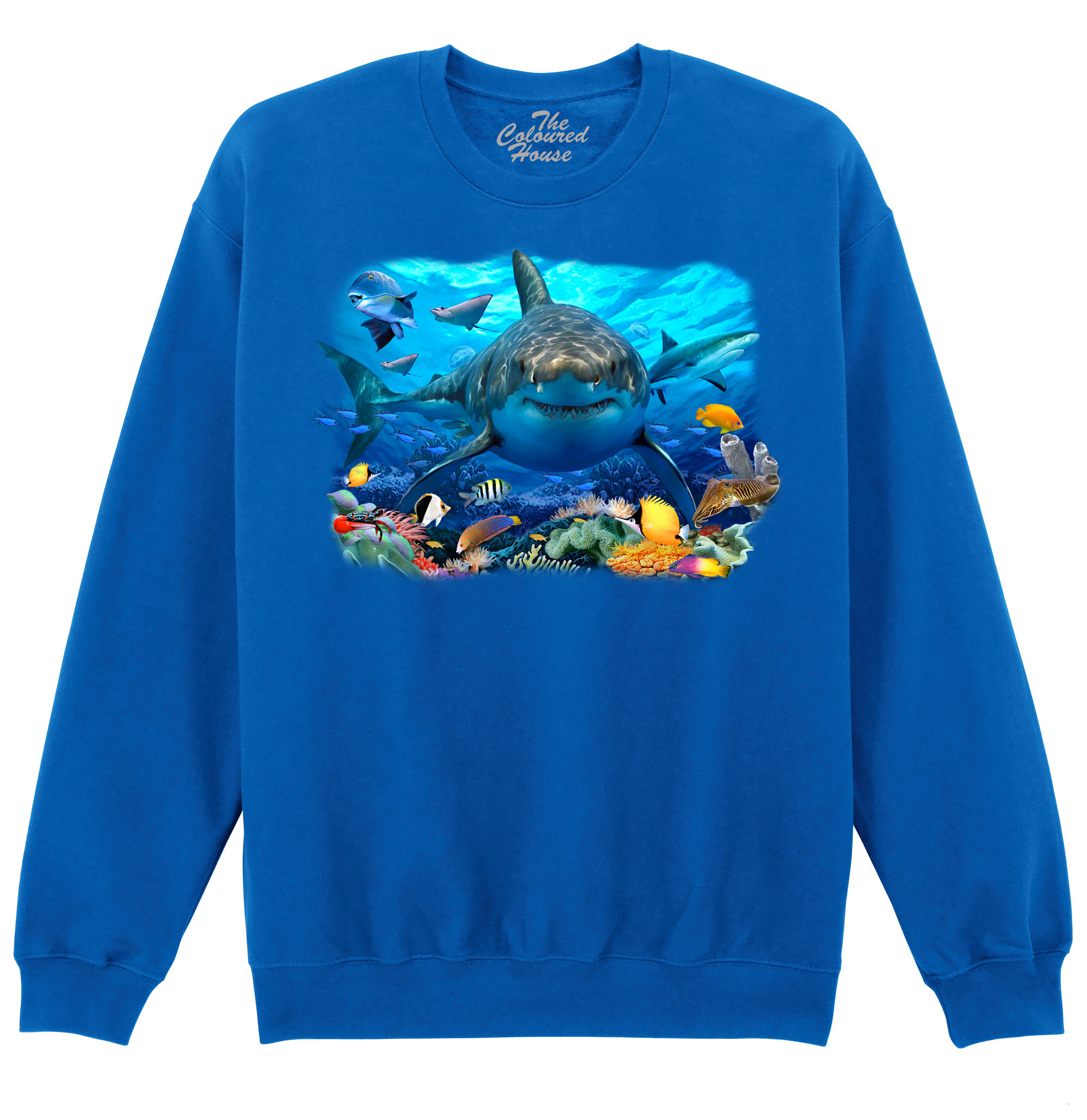 Great White Shark And Sealife Sweater