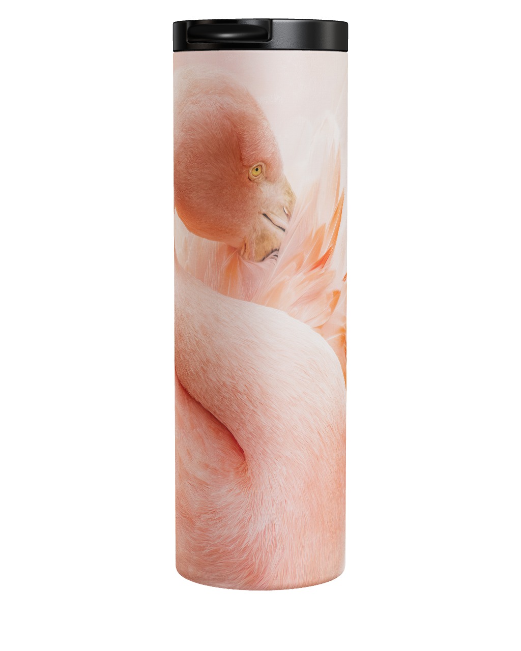 Cocoon Of Plumage Tumbler