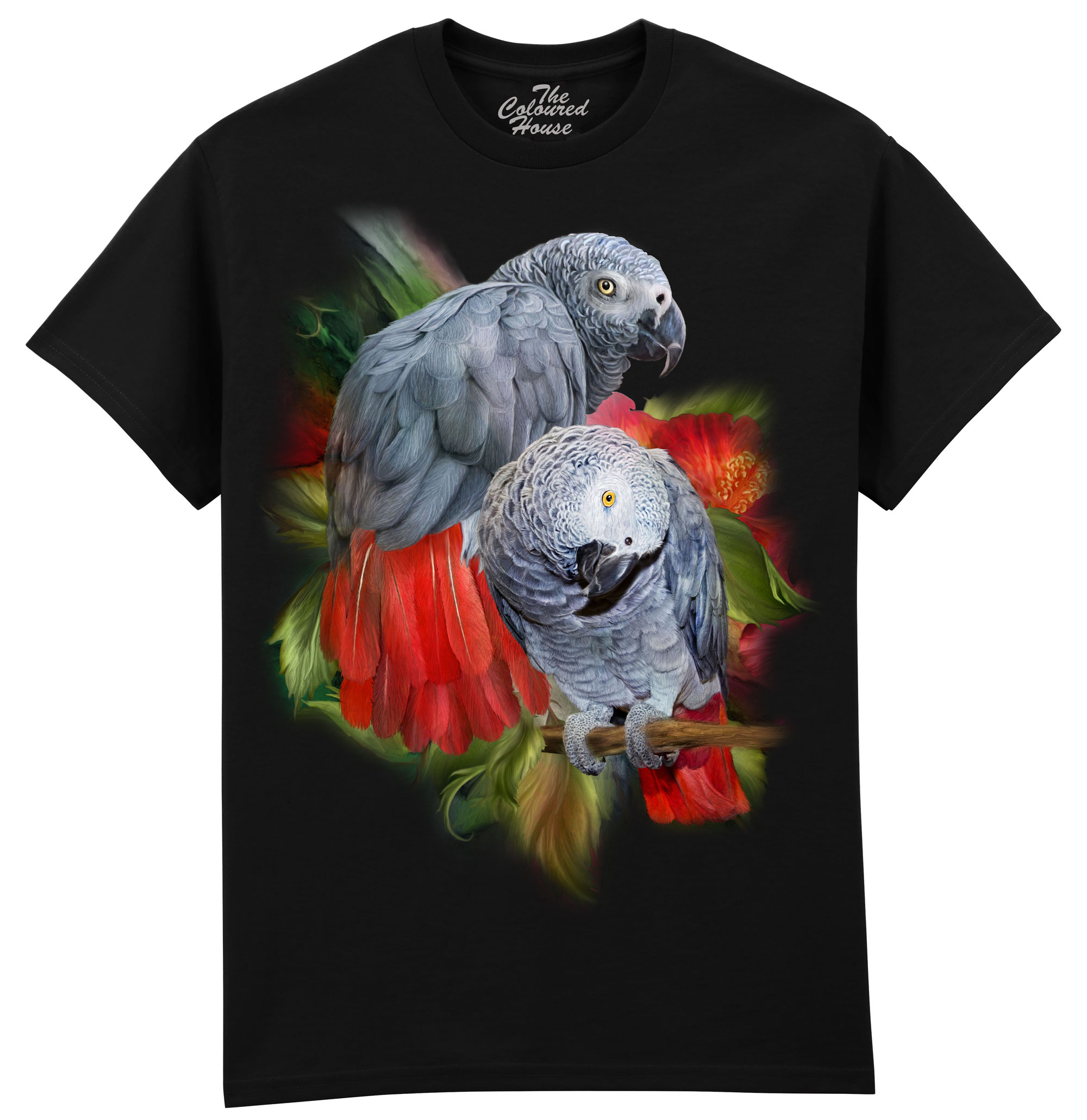 African Greys
